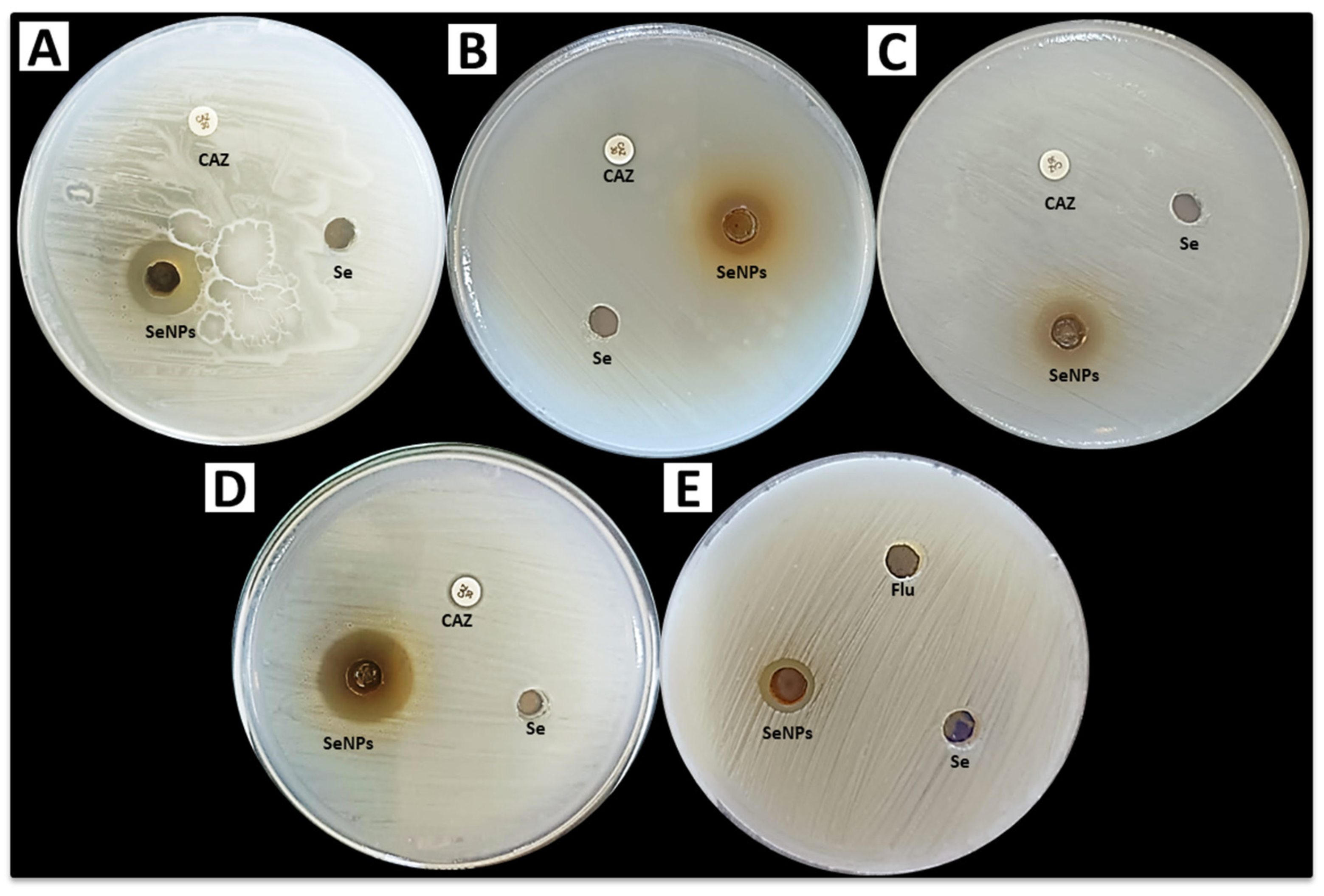 Crystals 13 00450 g007 Crystals 13 00450 g007