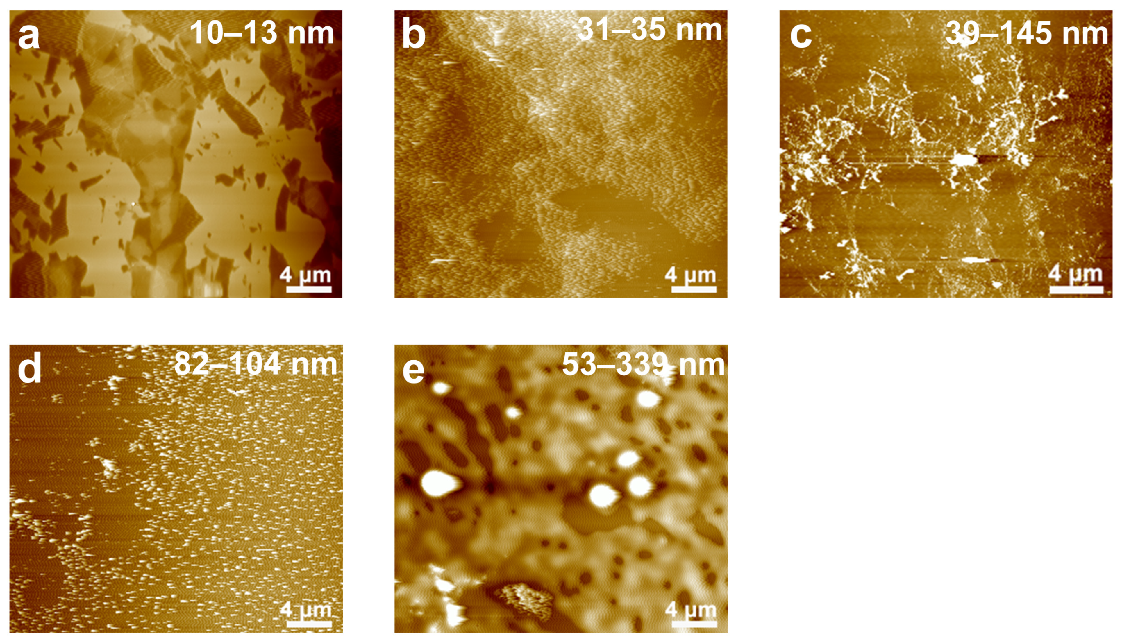 Crystals 13 00458 g002