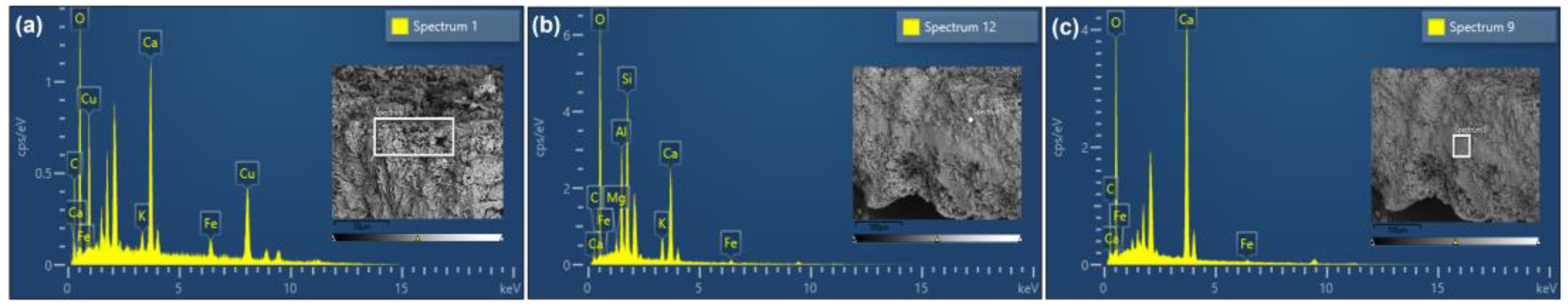 Crystals 13 00459 g008