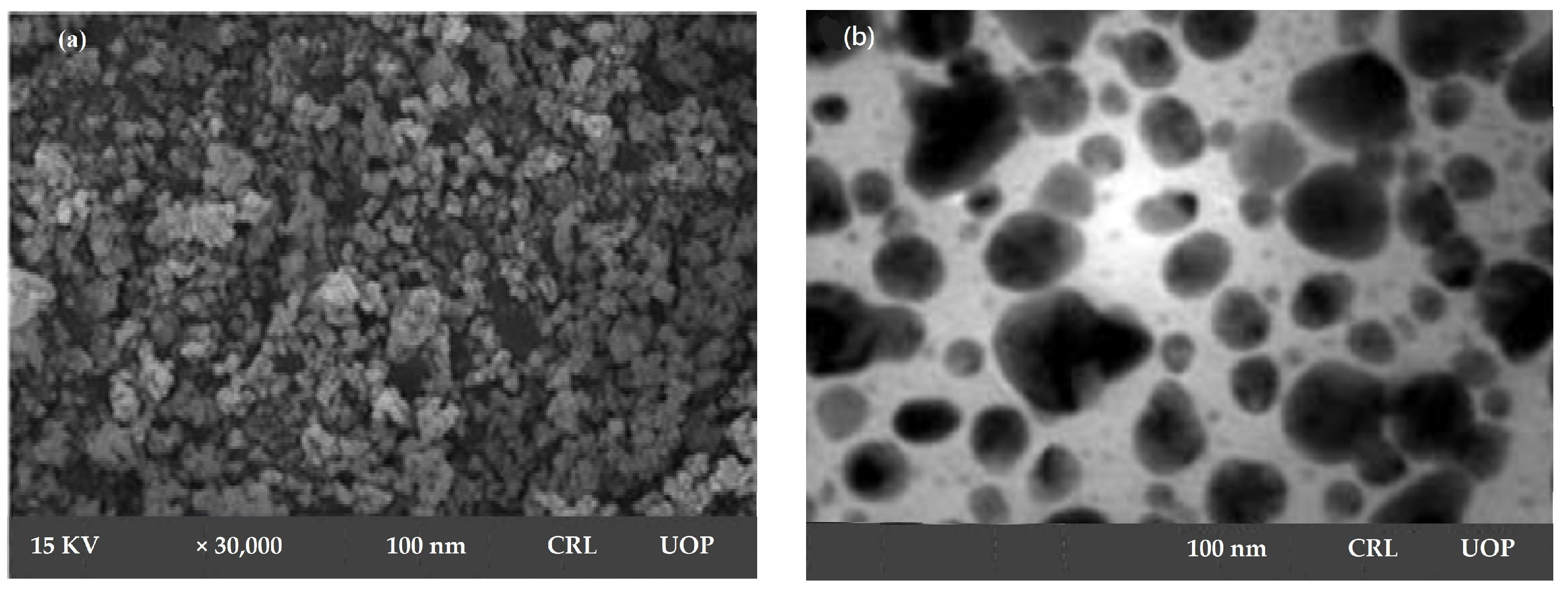 Crystals 13 00480 g002