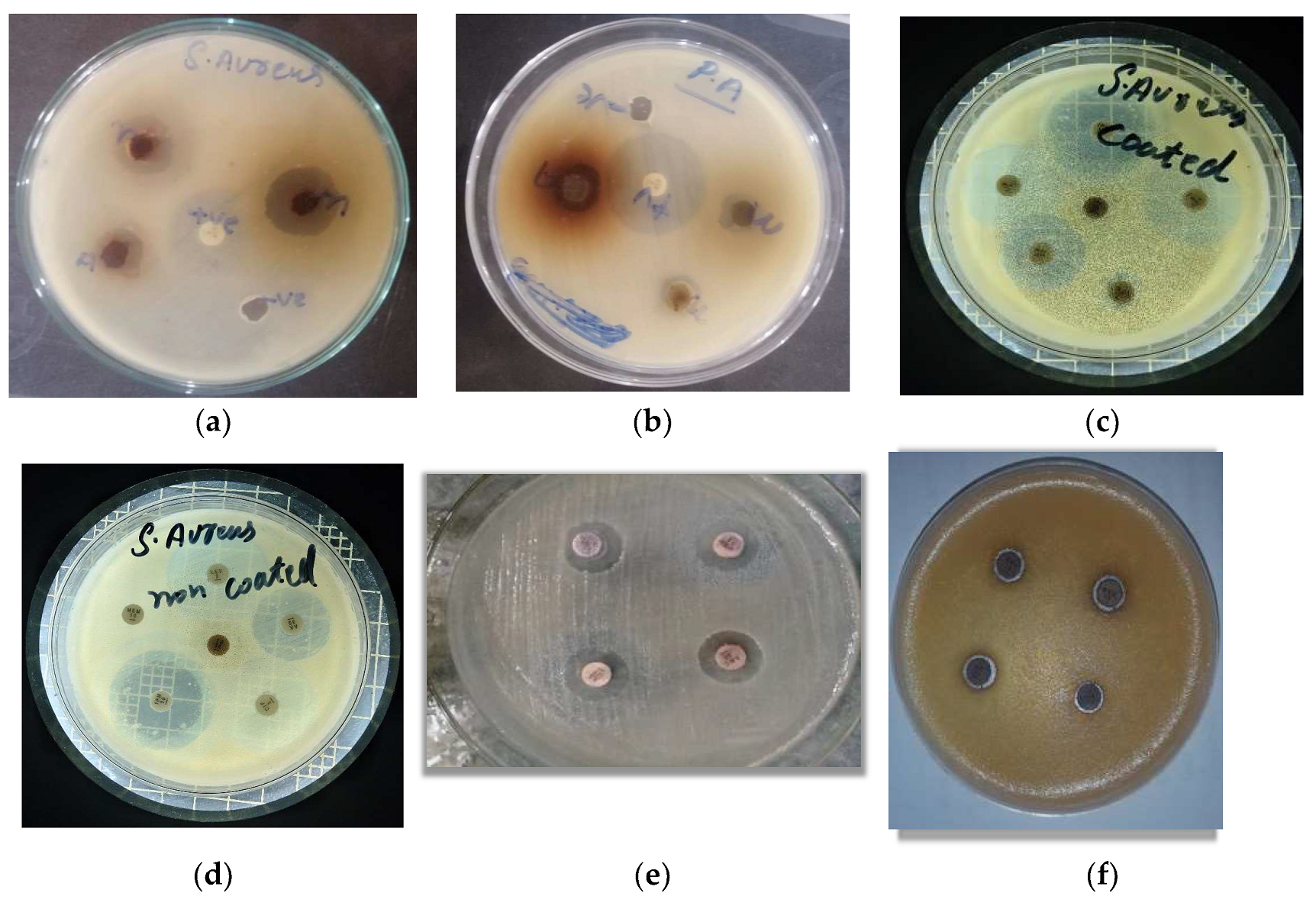 Crystals 13 00480 g005