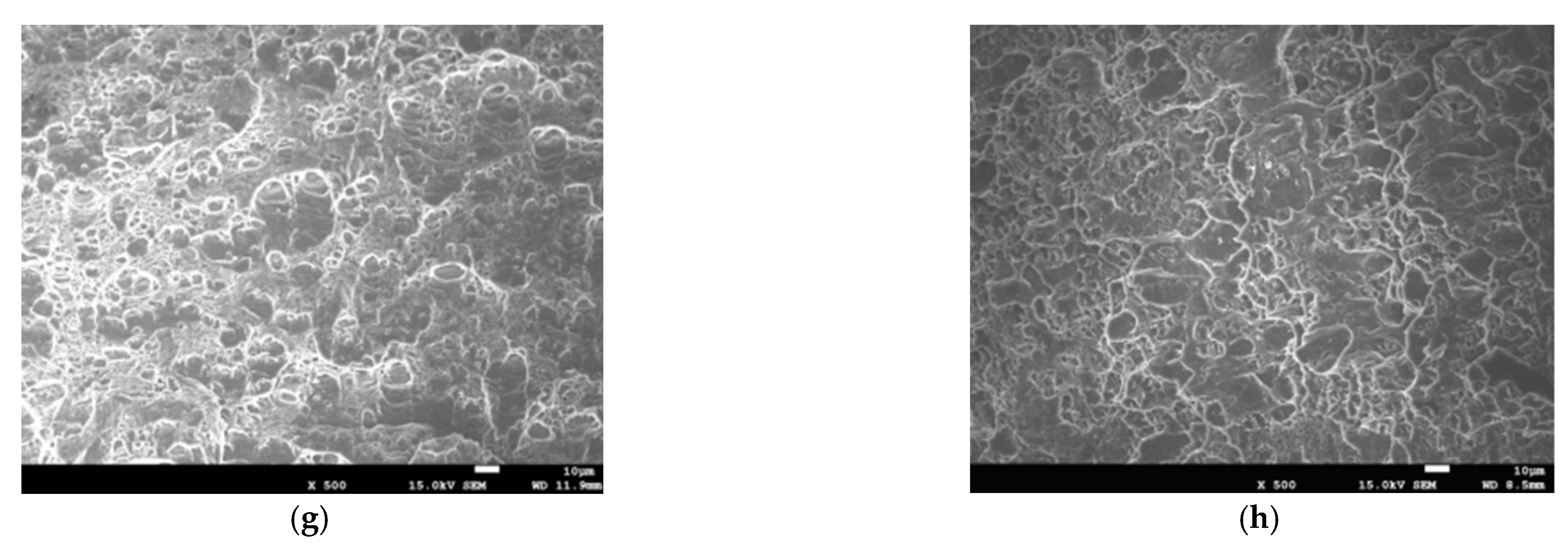 Crystals 13 00489 g009b