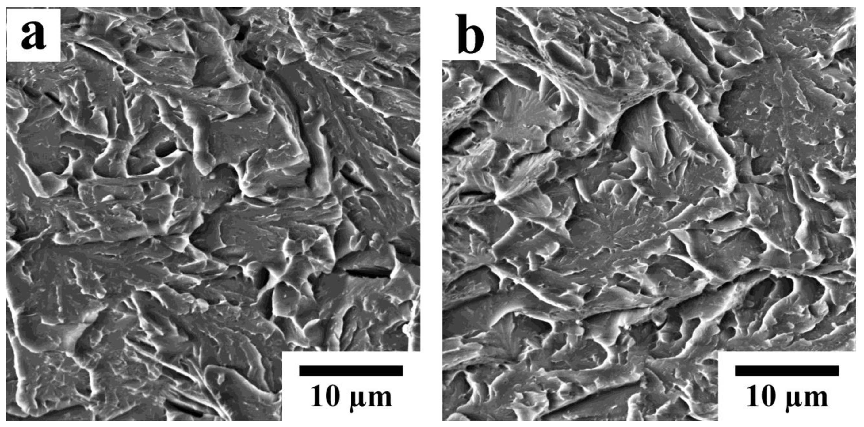 Crystals 13 00492 g010