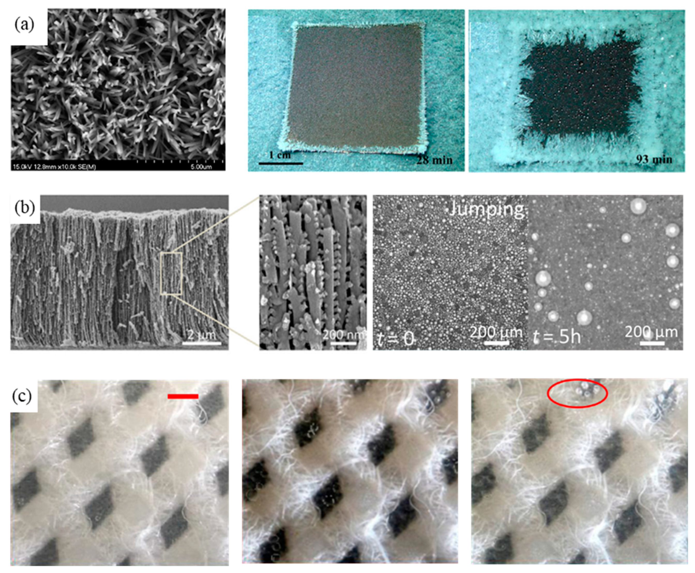 Crystals 13 00493 g005