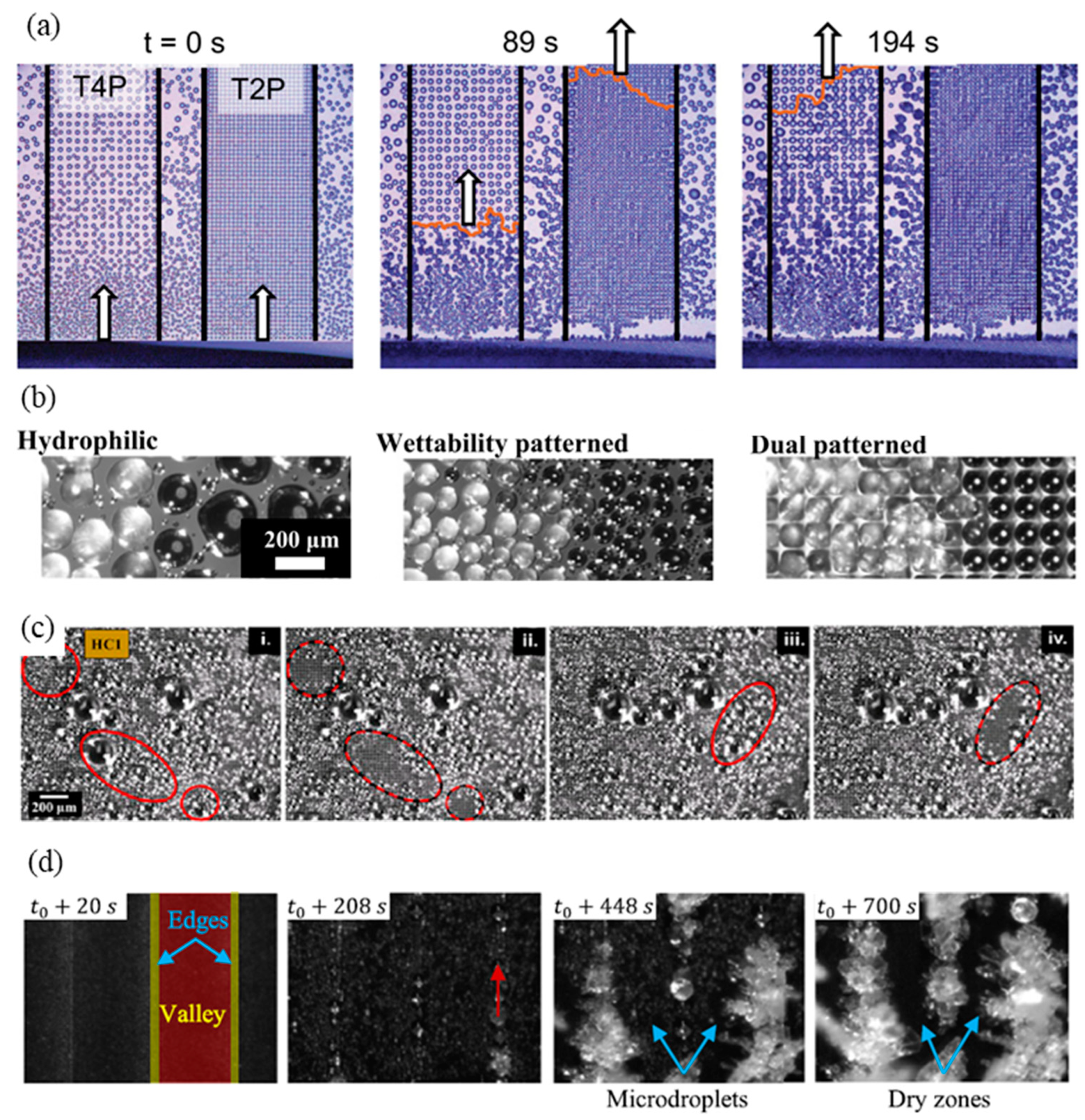 Crystals 13 00493 g006