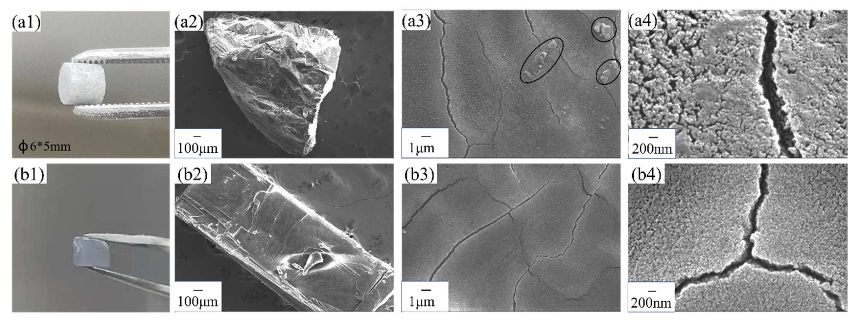 Crystals 13 00504 g013