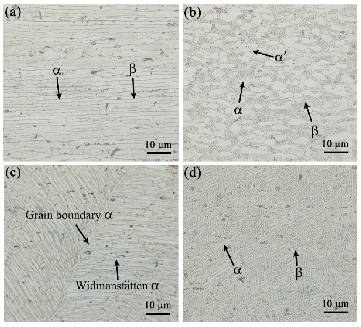 Crystals 13 00512 g004