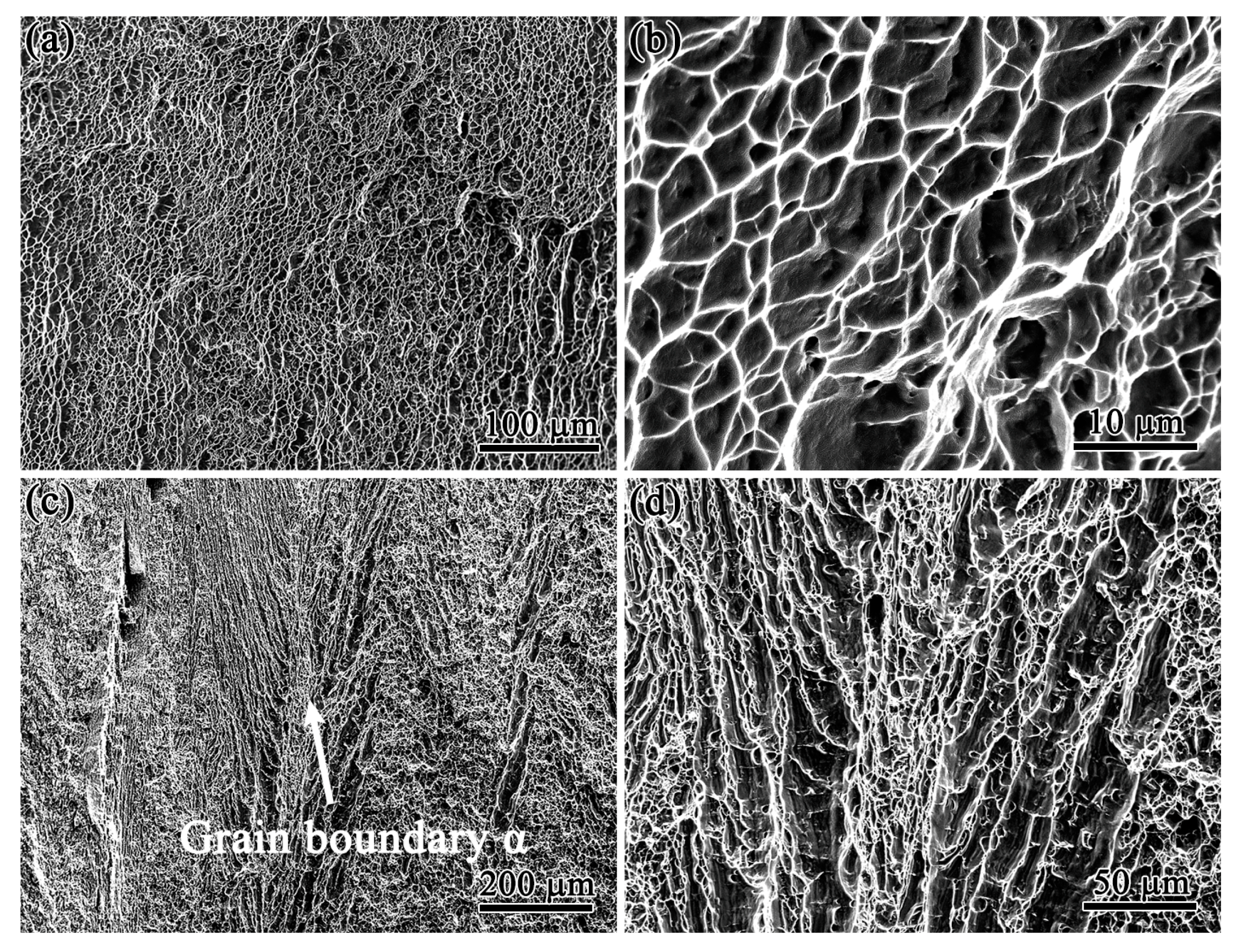 Crystals 13 00512 g007