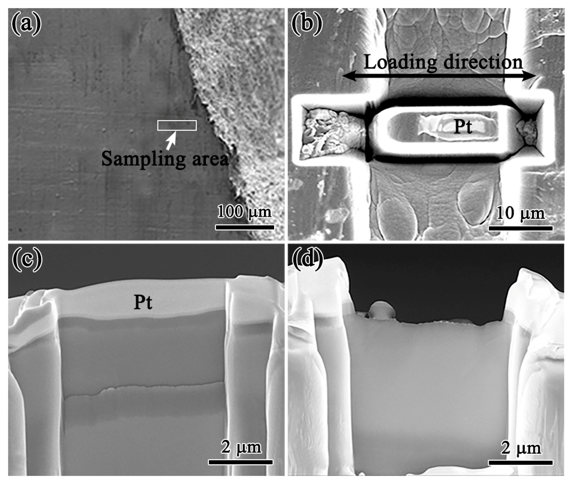 Crystals 13 00512 g010