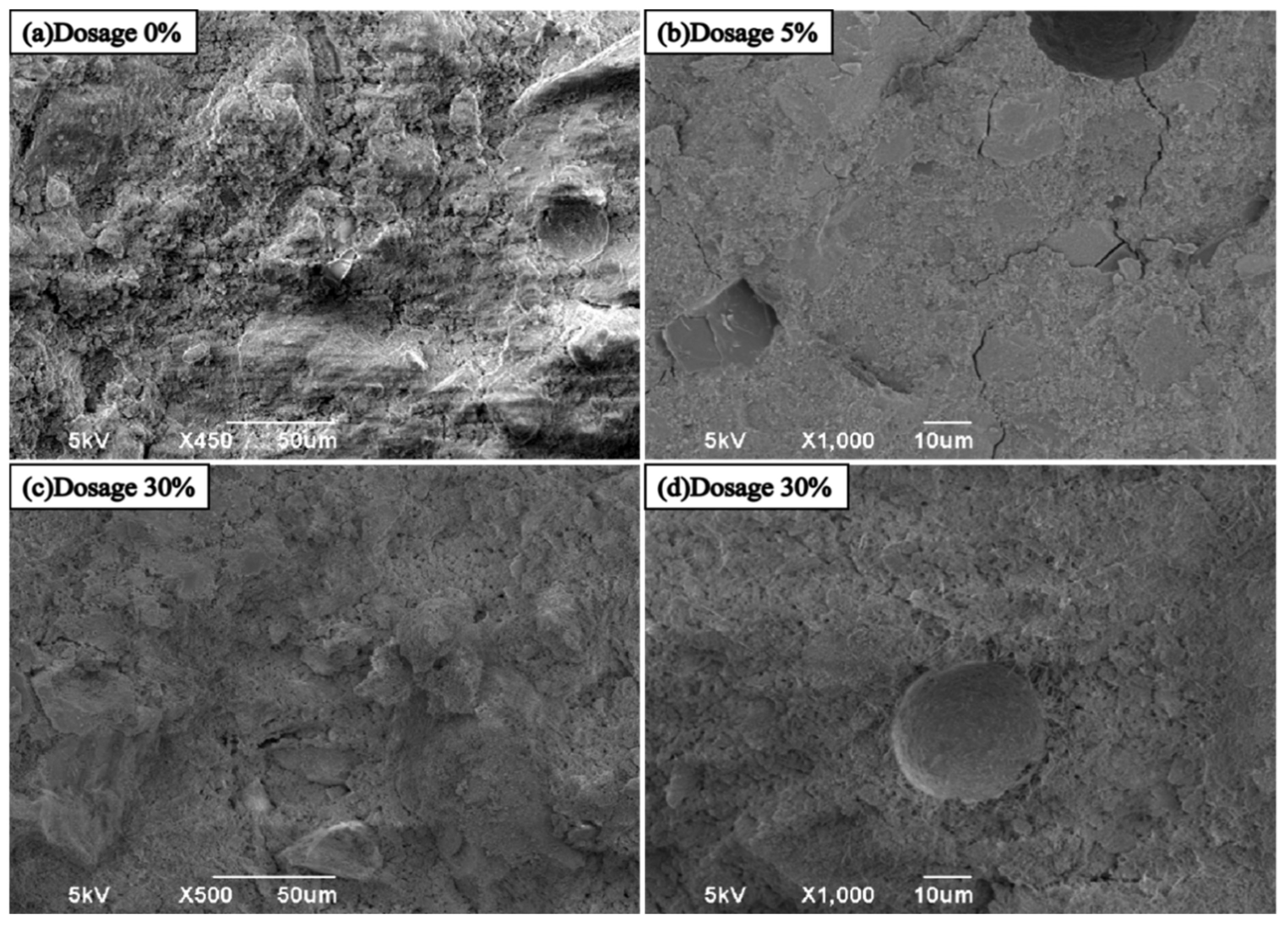 Crystals 13 00513 g007