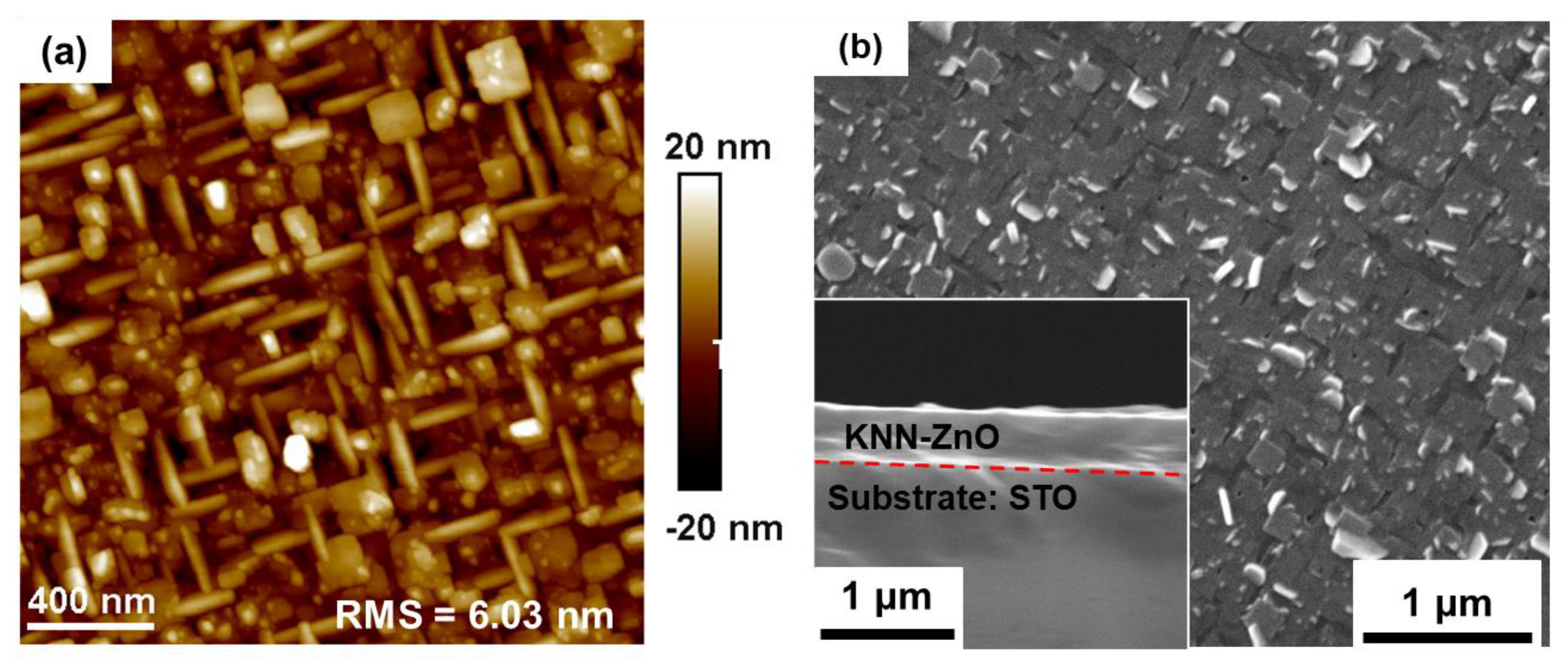 Crystals 13 00525 g002 Crystals 13 00525 g002