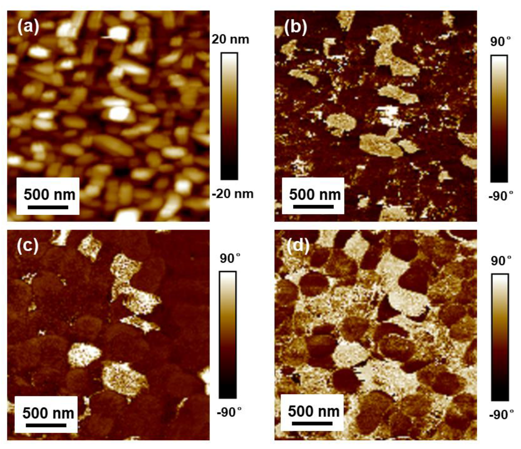 Crystals 13 00525 g004 Crystals 13 00525 g004