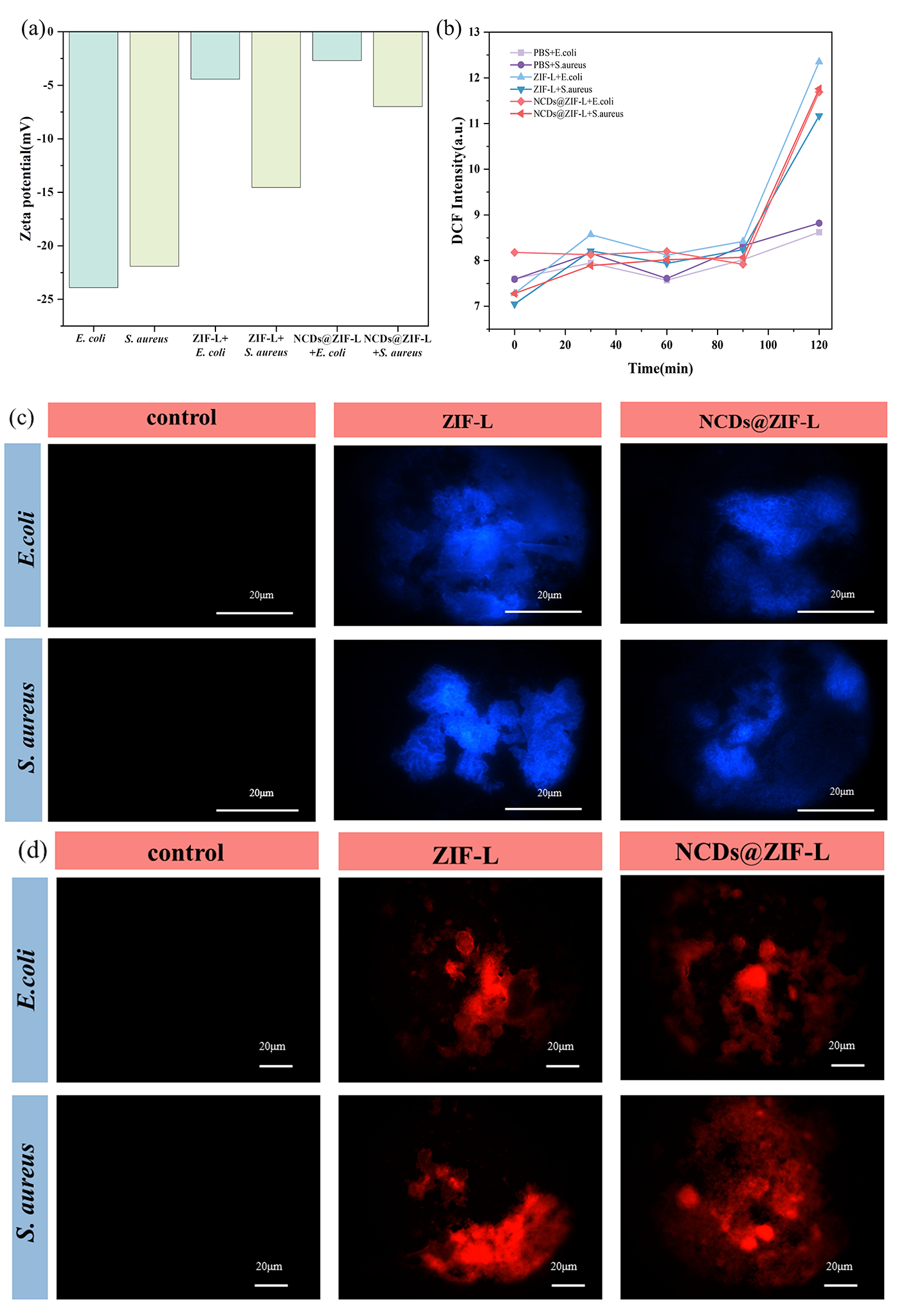 Crystals 13 00564 g006