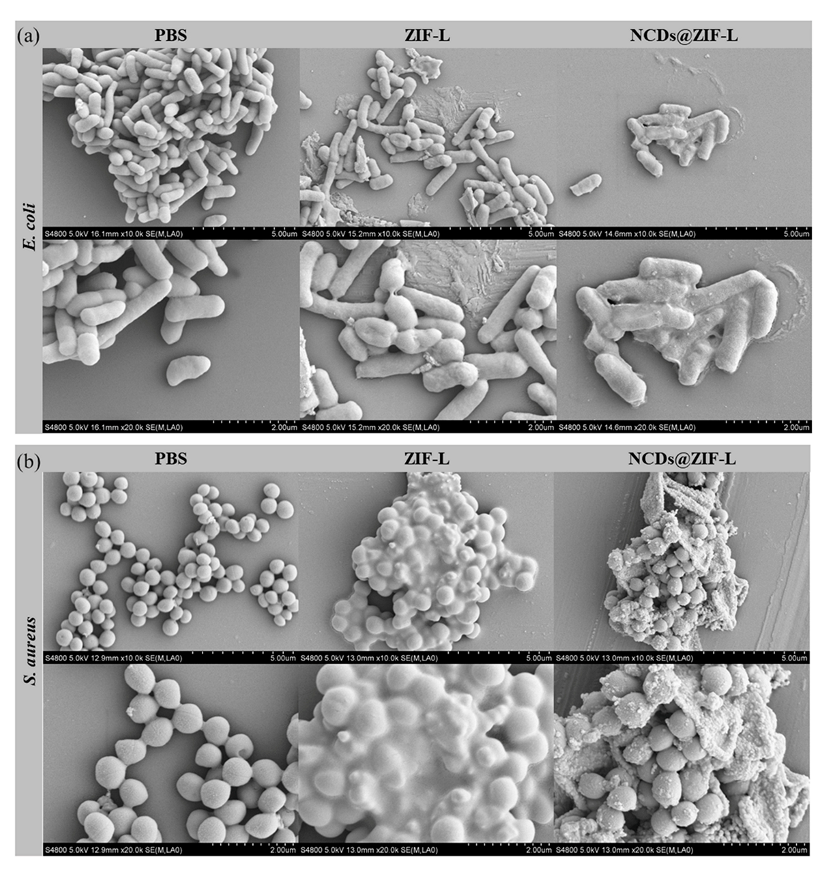 Crystals 13 00564 g007