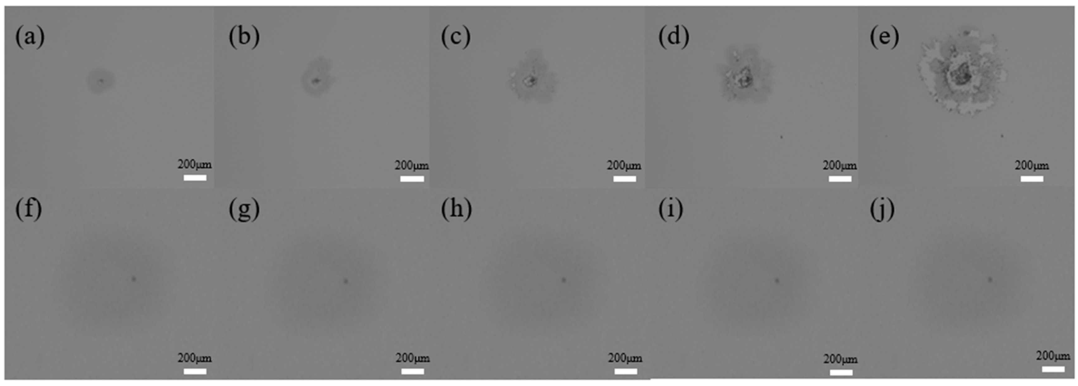 Crystals 13 00571 g005