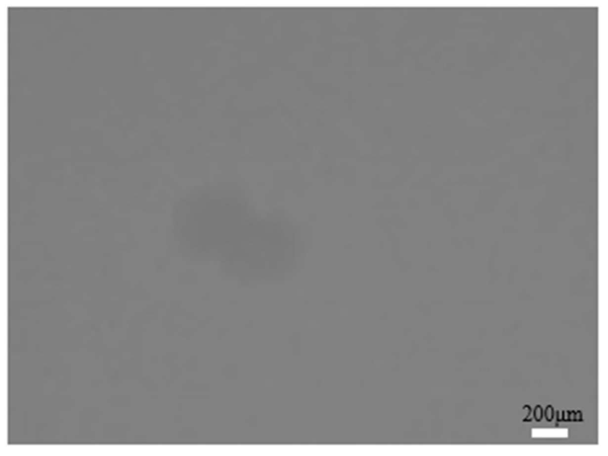 Crystals 13 00571 g006