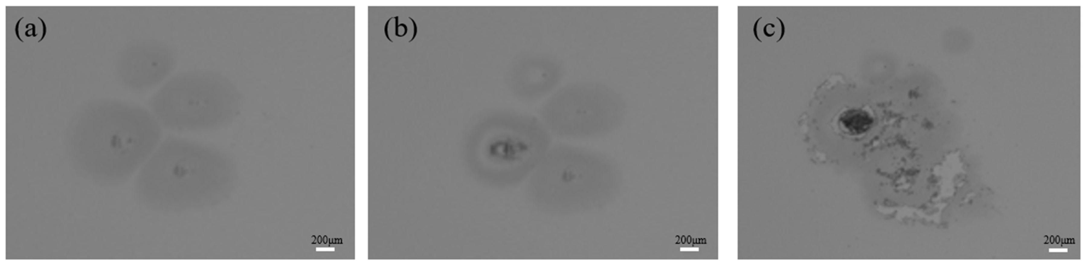 Crystals 13 00571 g009