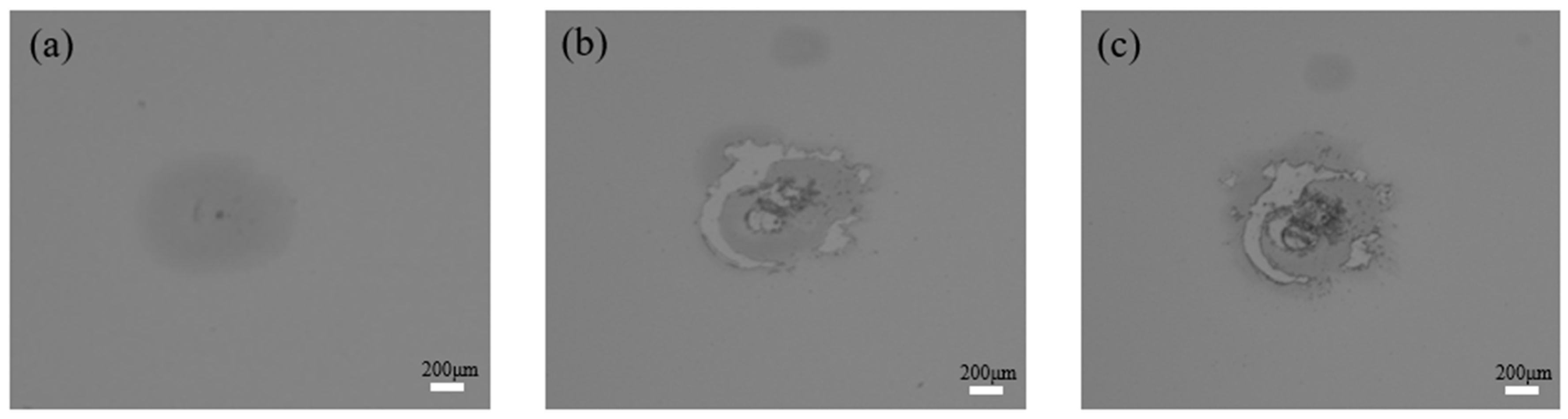 Crystals 13 00571 g010