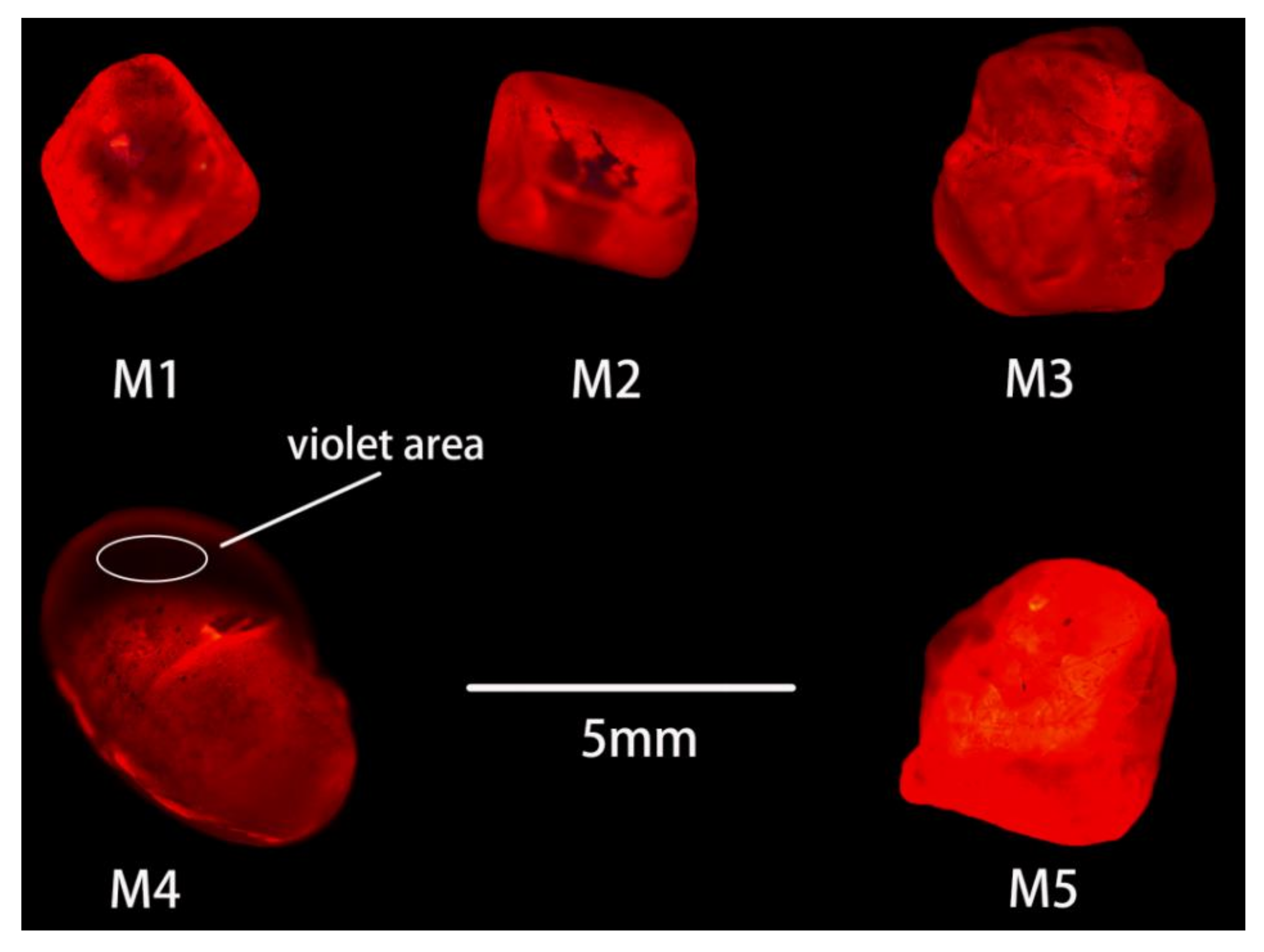 Crystals 13 00575 g002