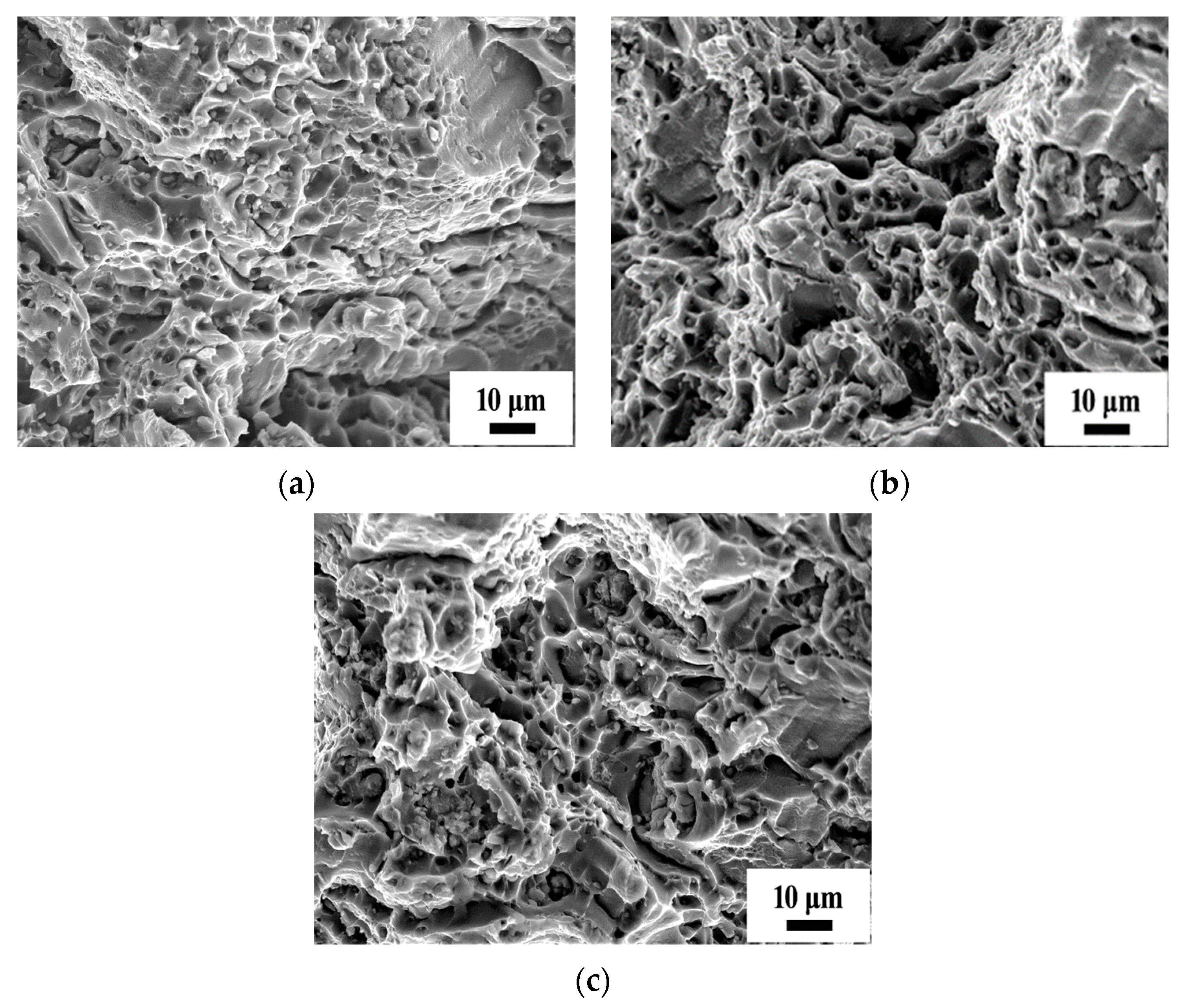 Crystals 13 00581 g007