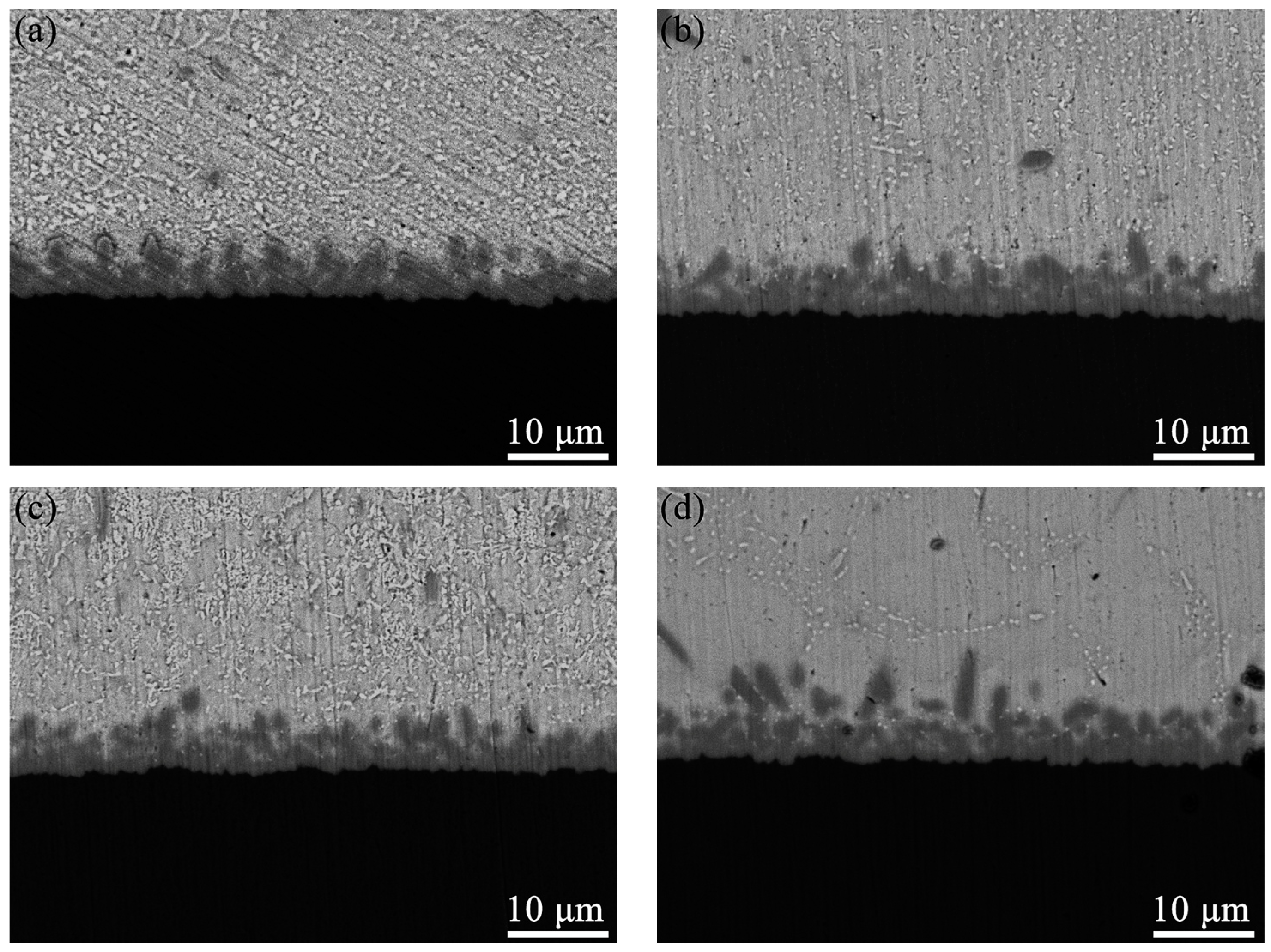 Crystals 13 00586 g008