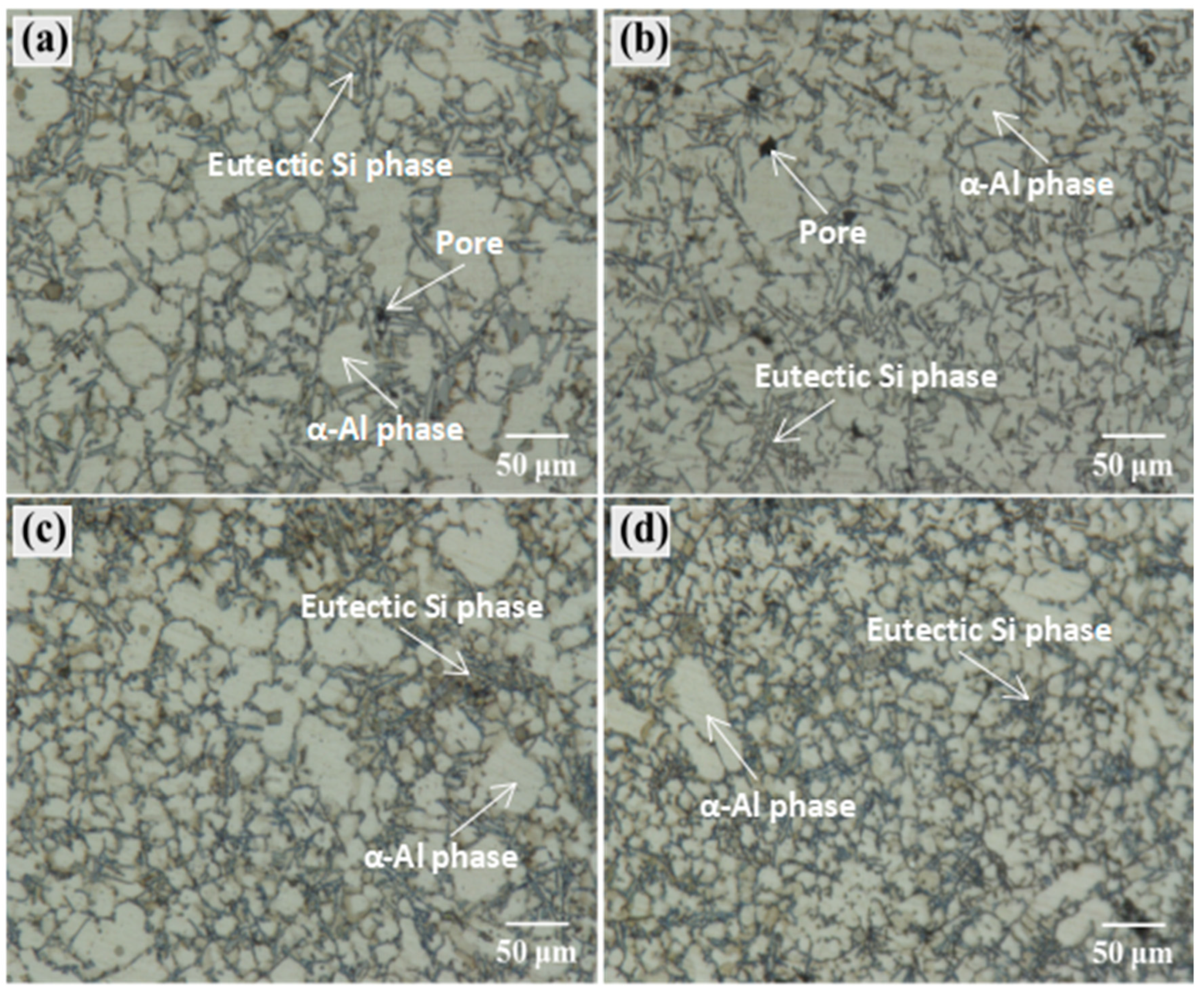 Crystals 13 00587 g010