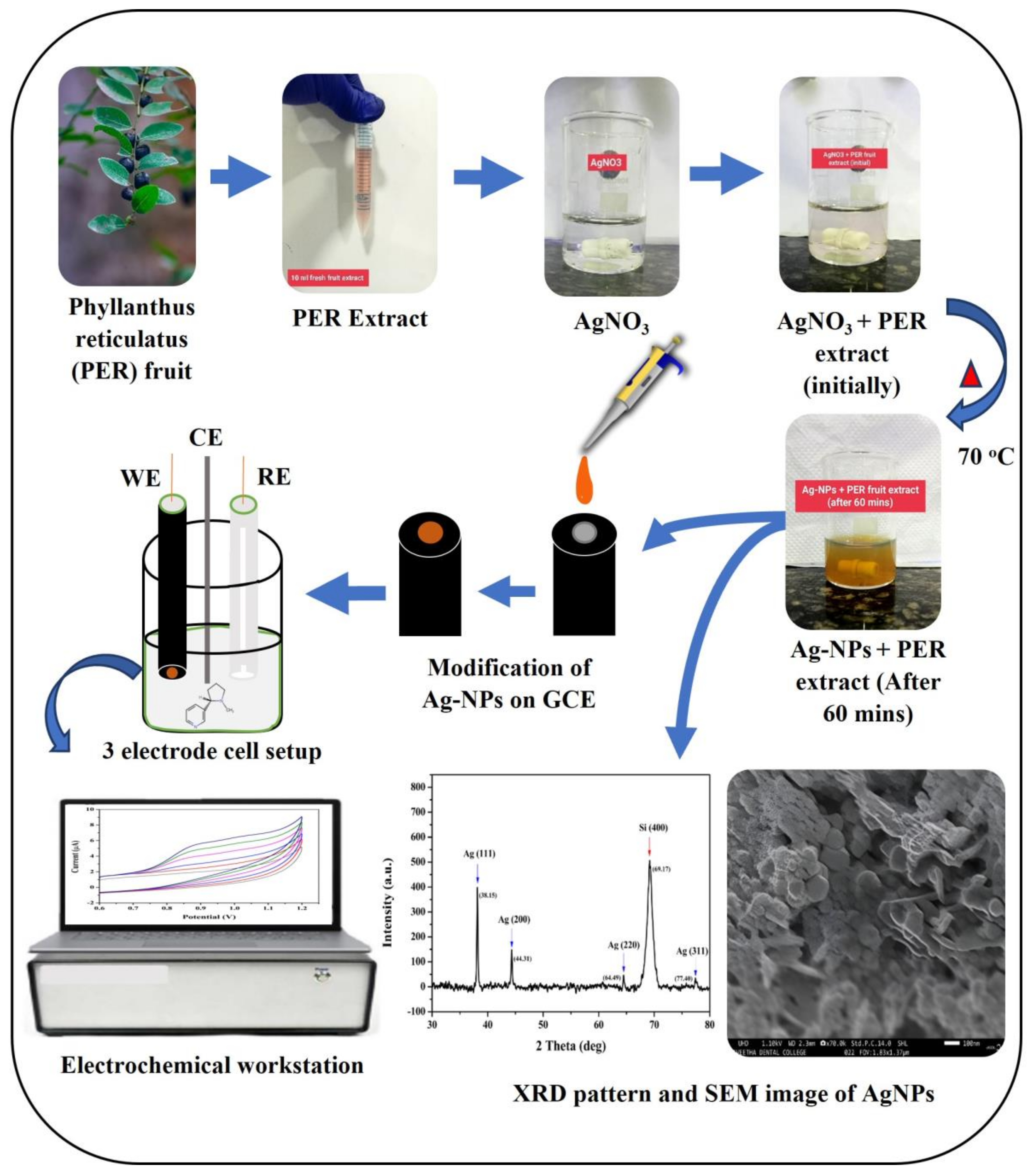 Crystals 13 00589 g002