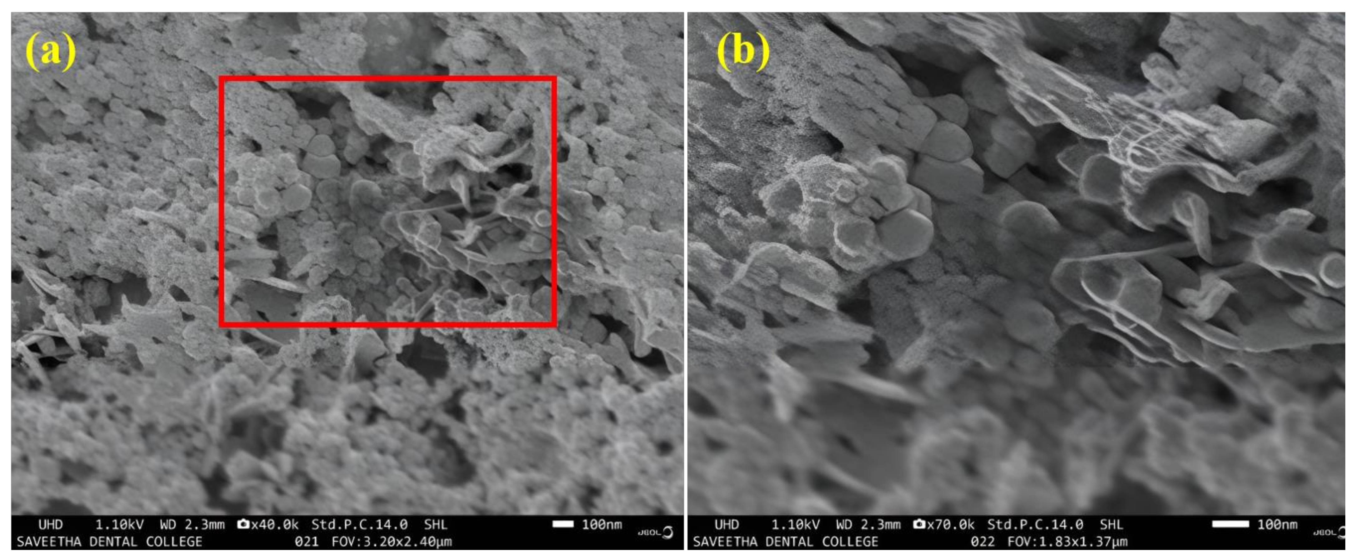 Crystals 13 00589 g006a