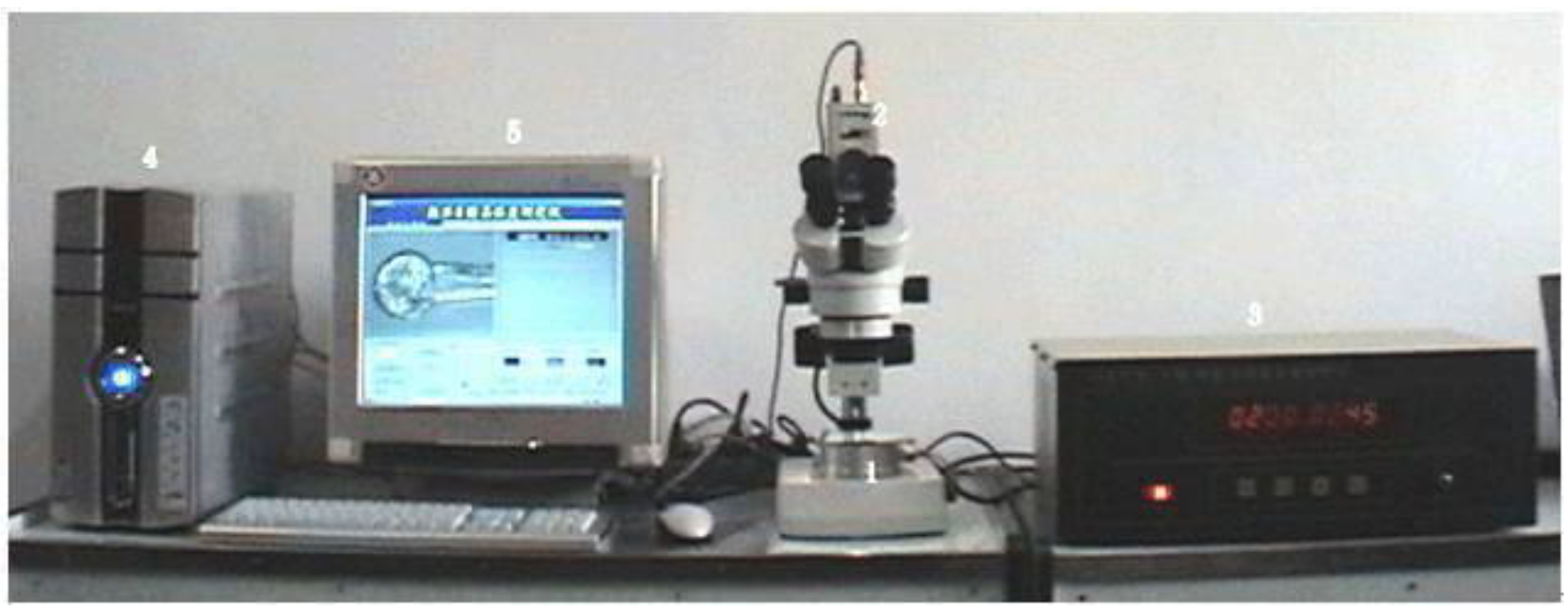 Crystals 13 00594 g001