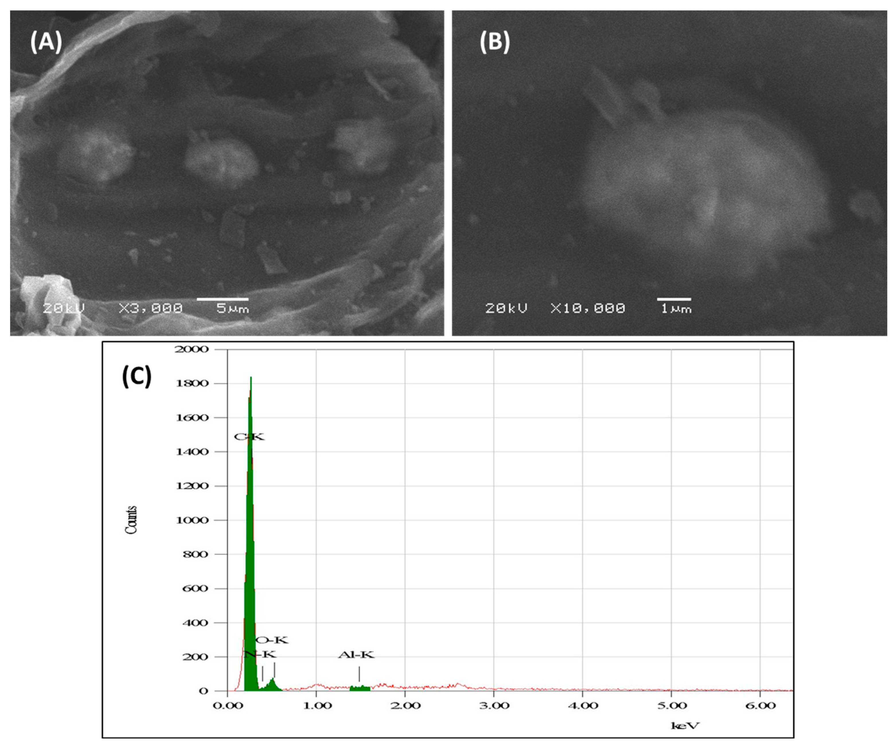 Crystals 13 00598 g001