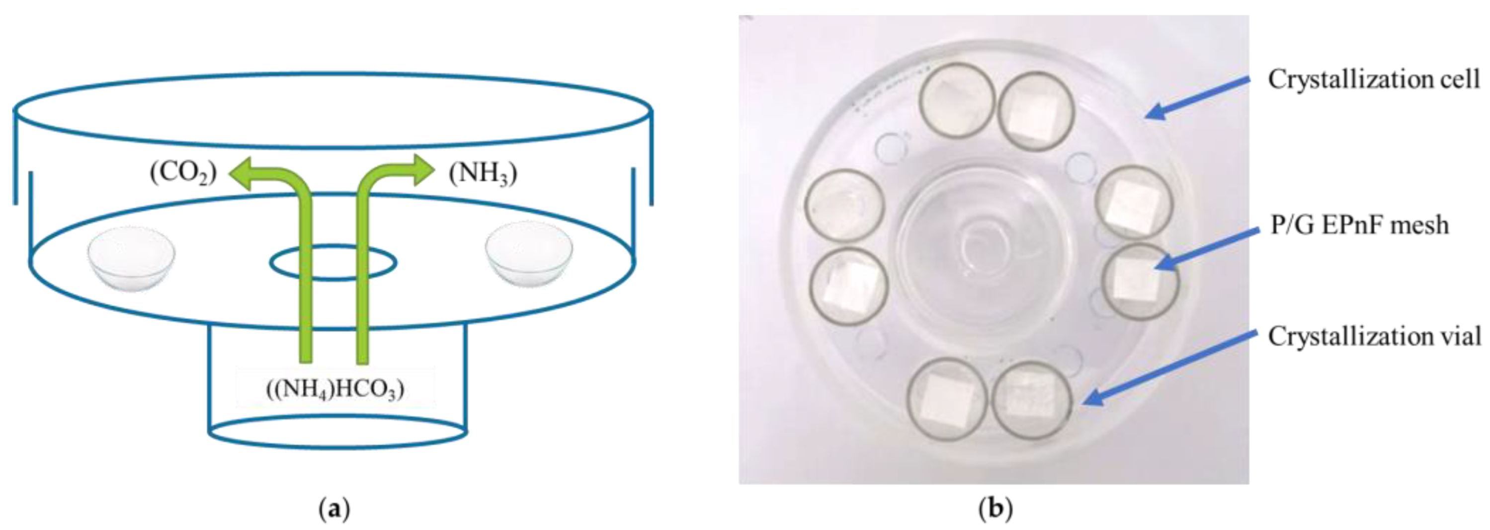 Crystals 13 00611 g002