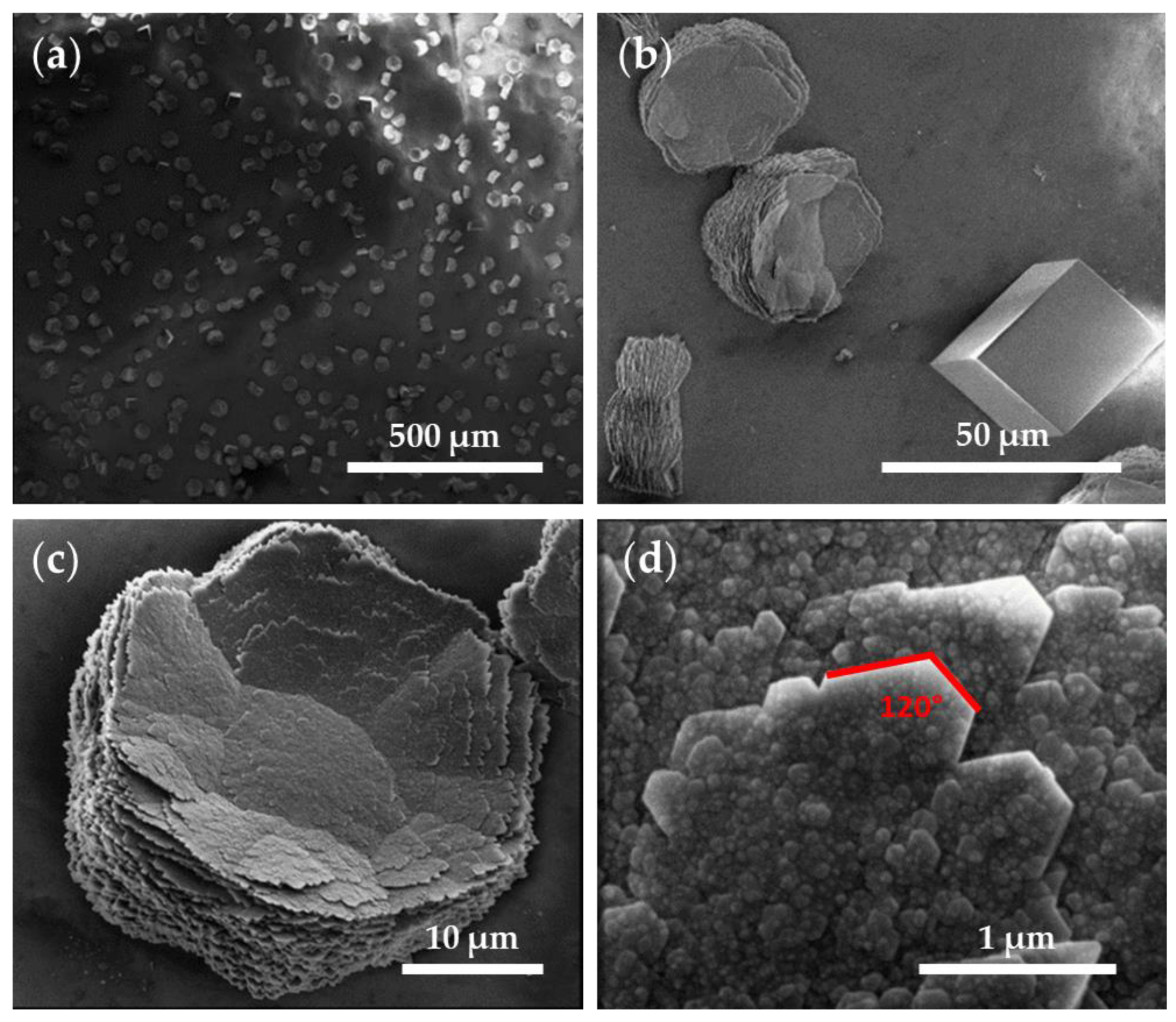 Crystals 13 00611 g007