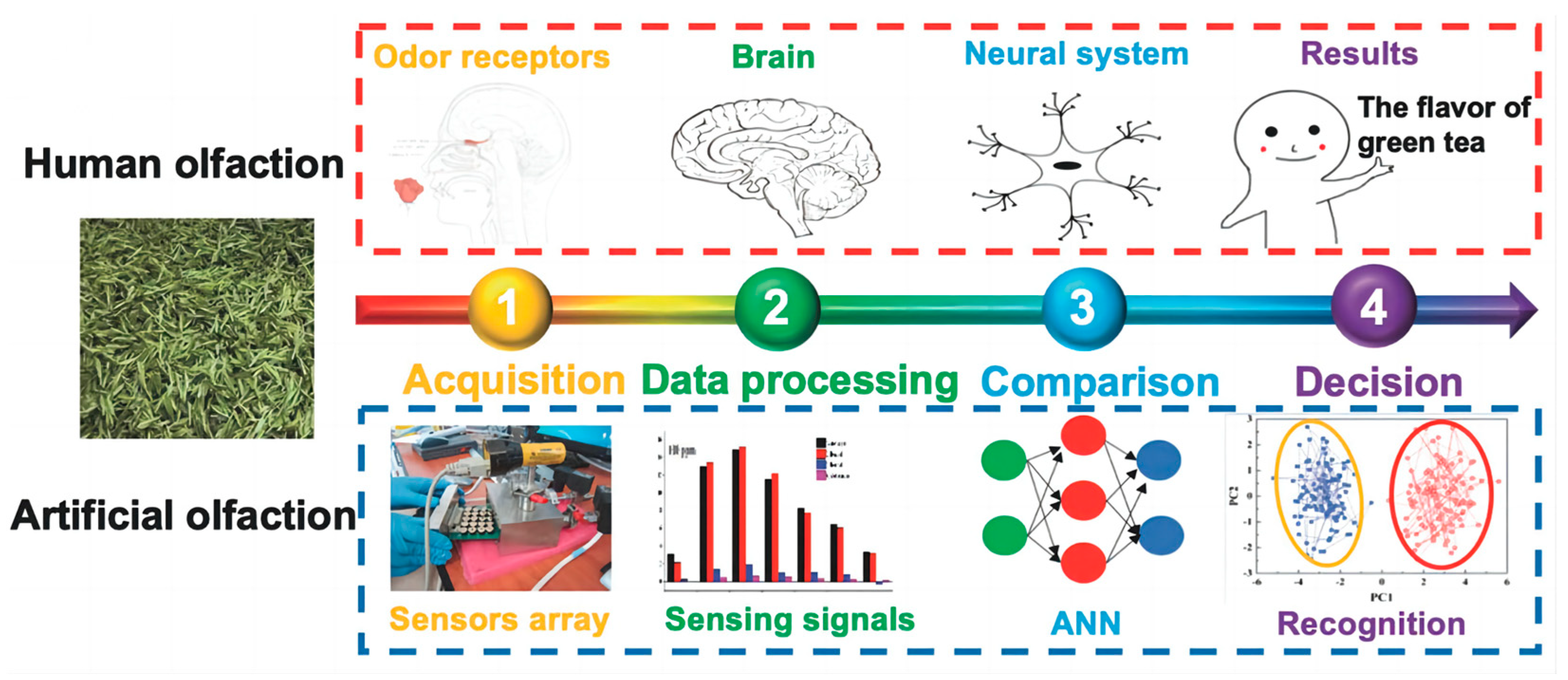 Crystals 13 00615 g001