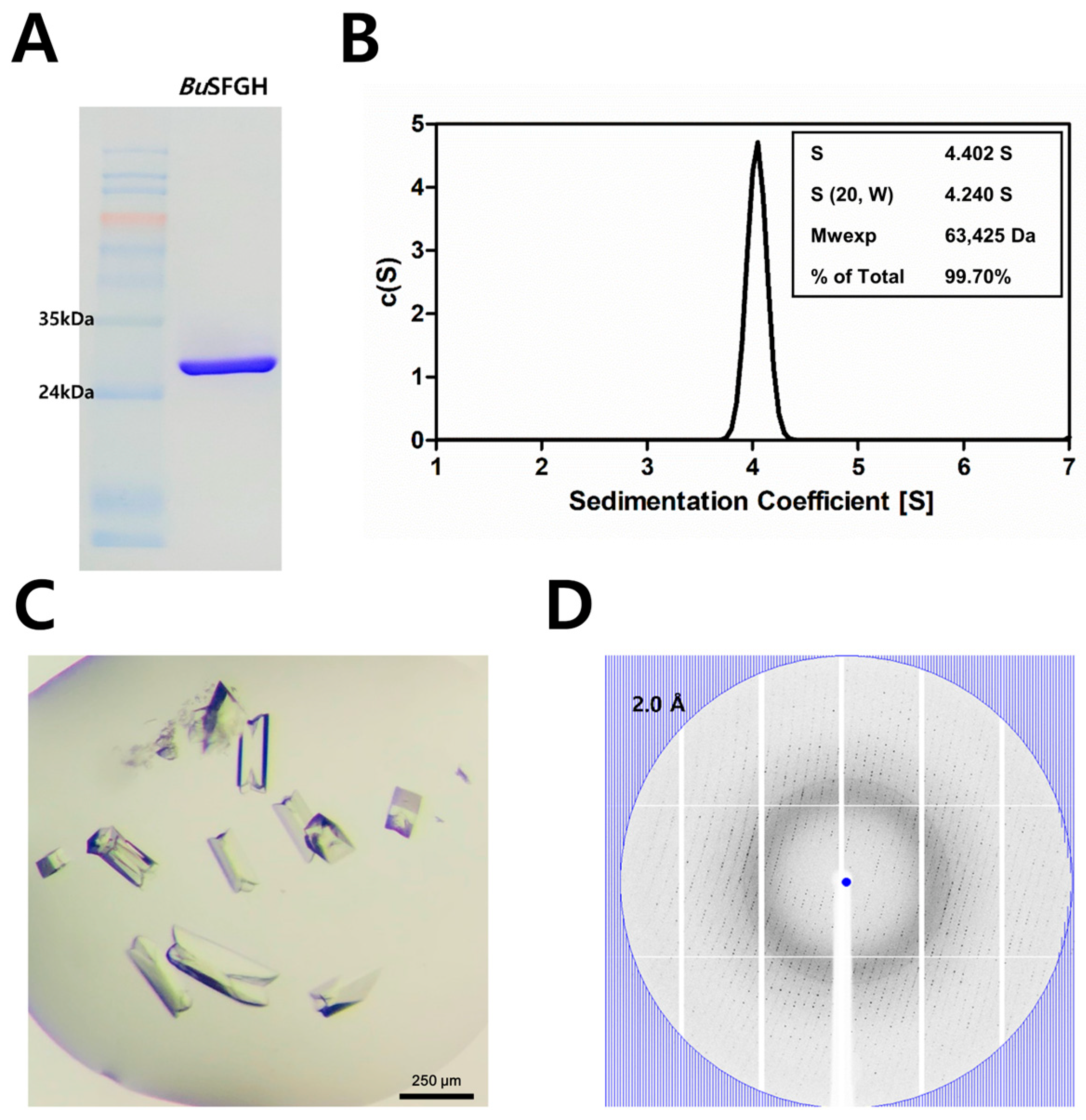 Crystals 13 00621 g001