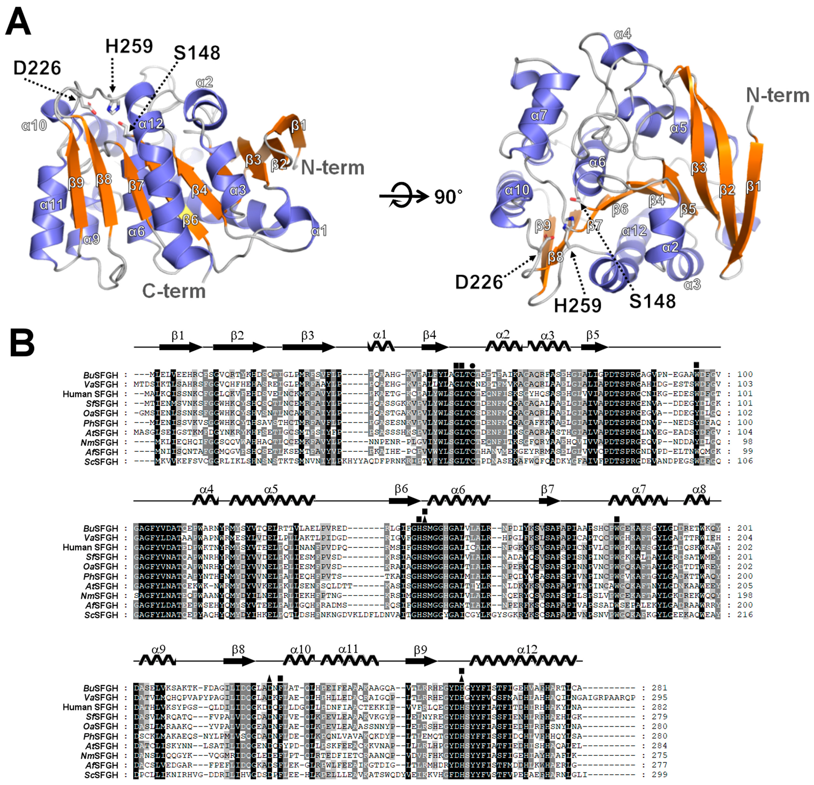 Crystals 13 00621 g003
