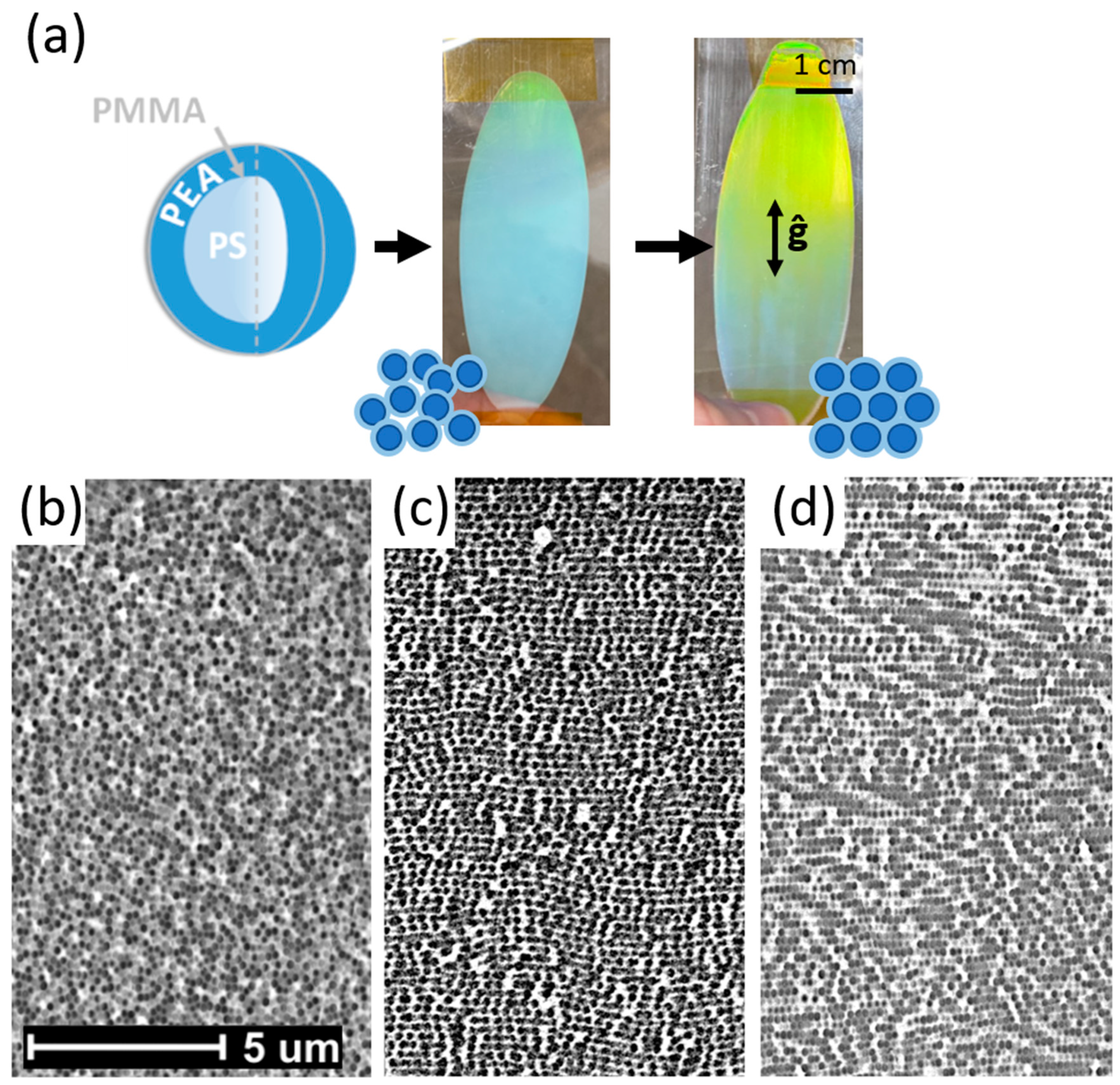 Crystals 13 00622 g001