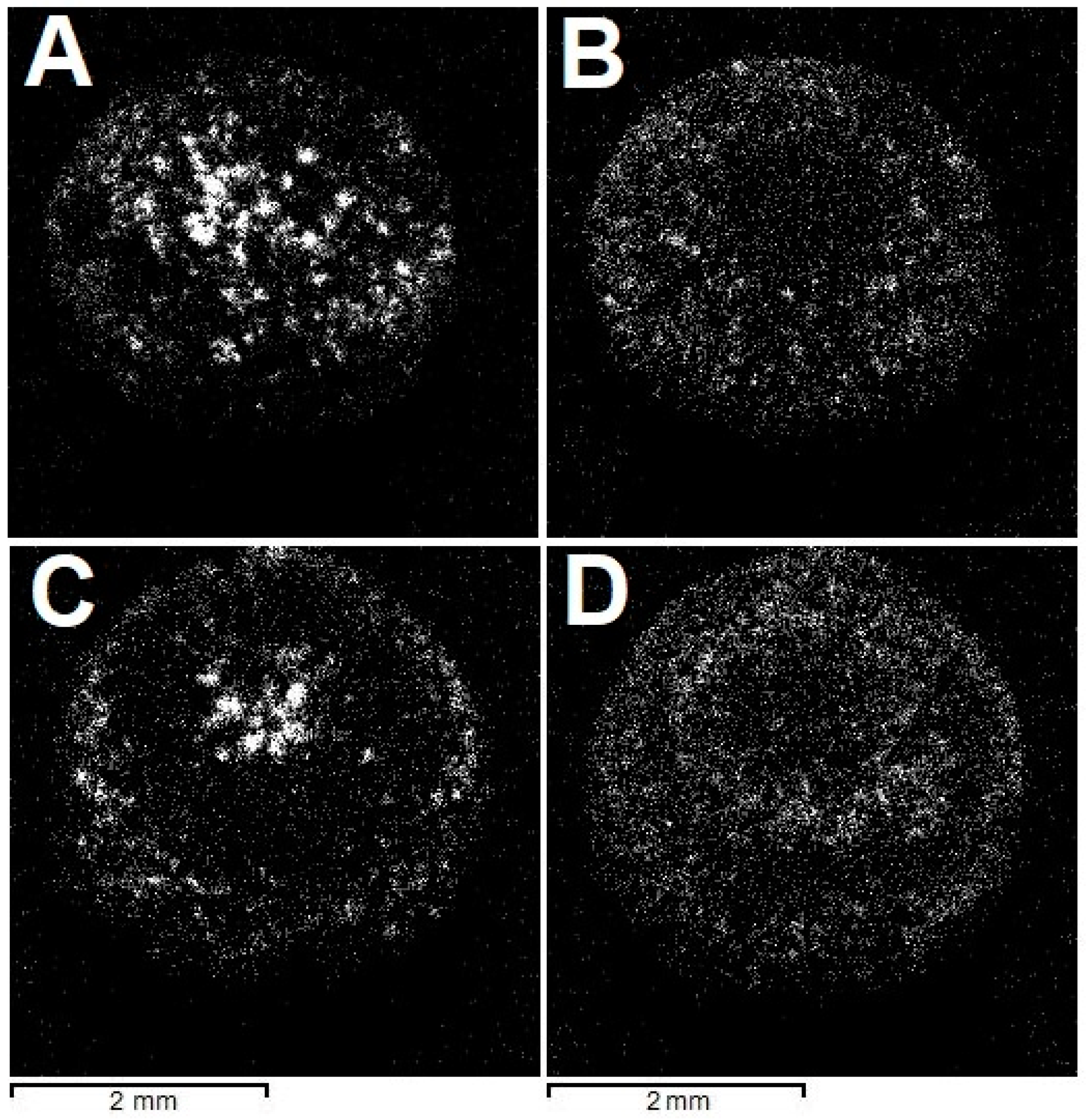 Crystals 13 00624 g004