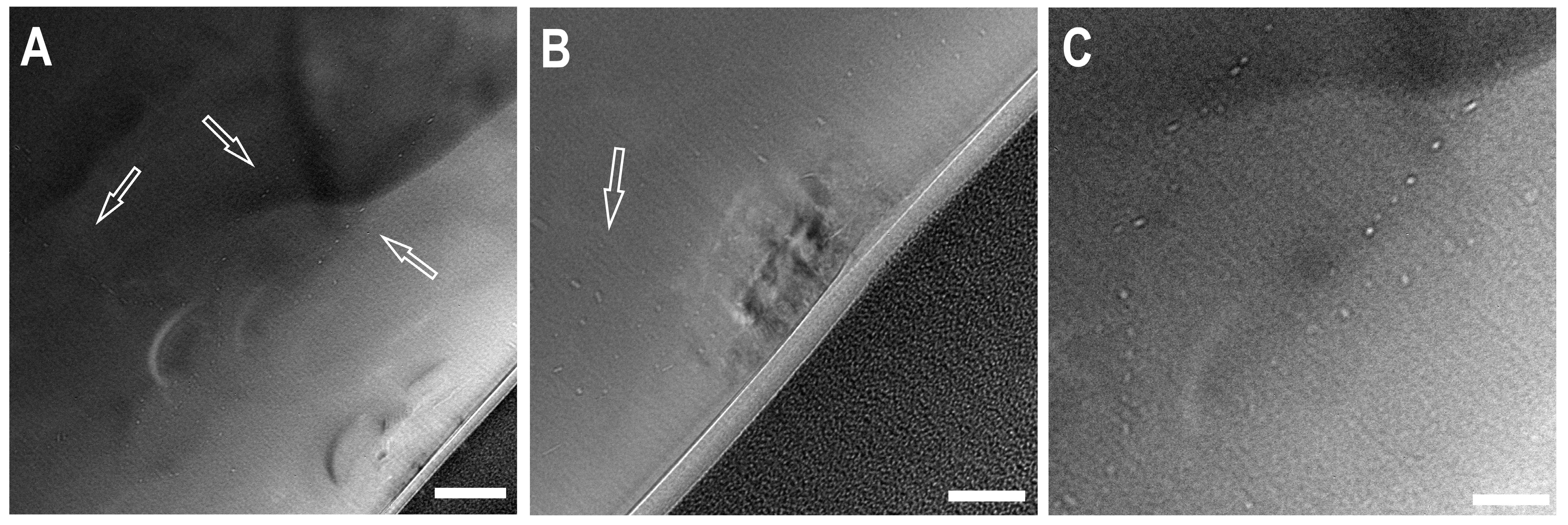 Crystals 13 00624 g008