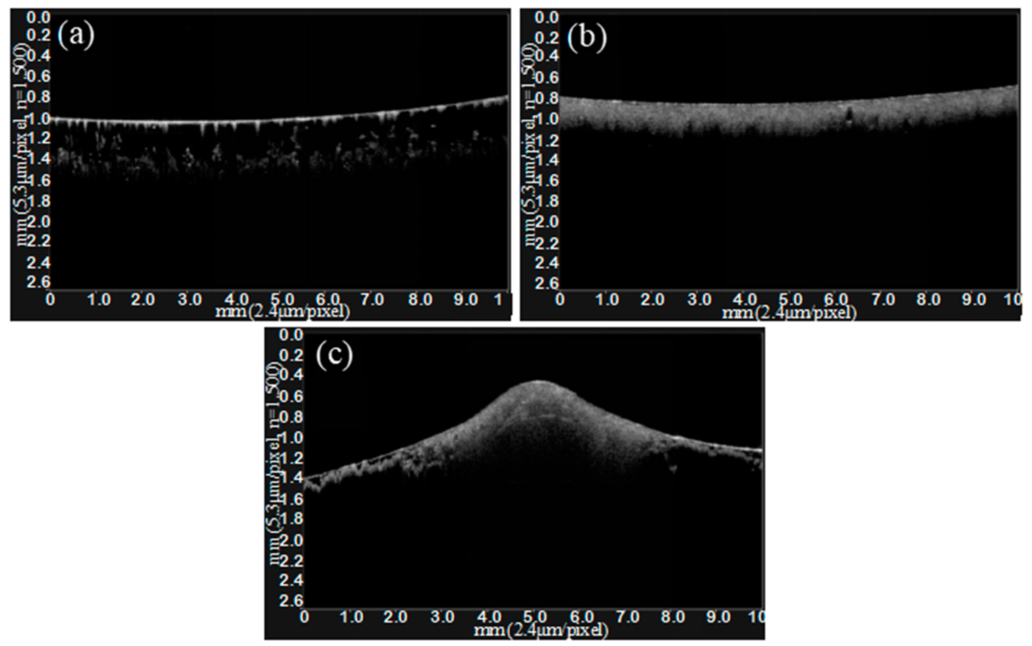 Crystals 13 00632 g002