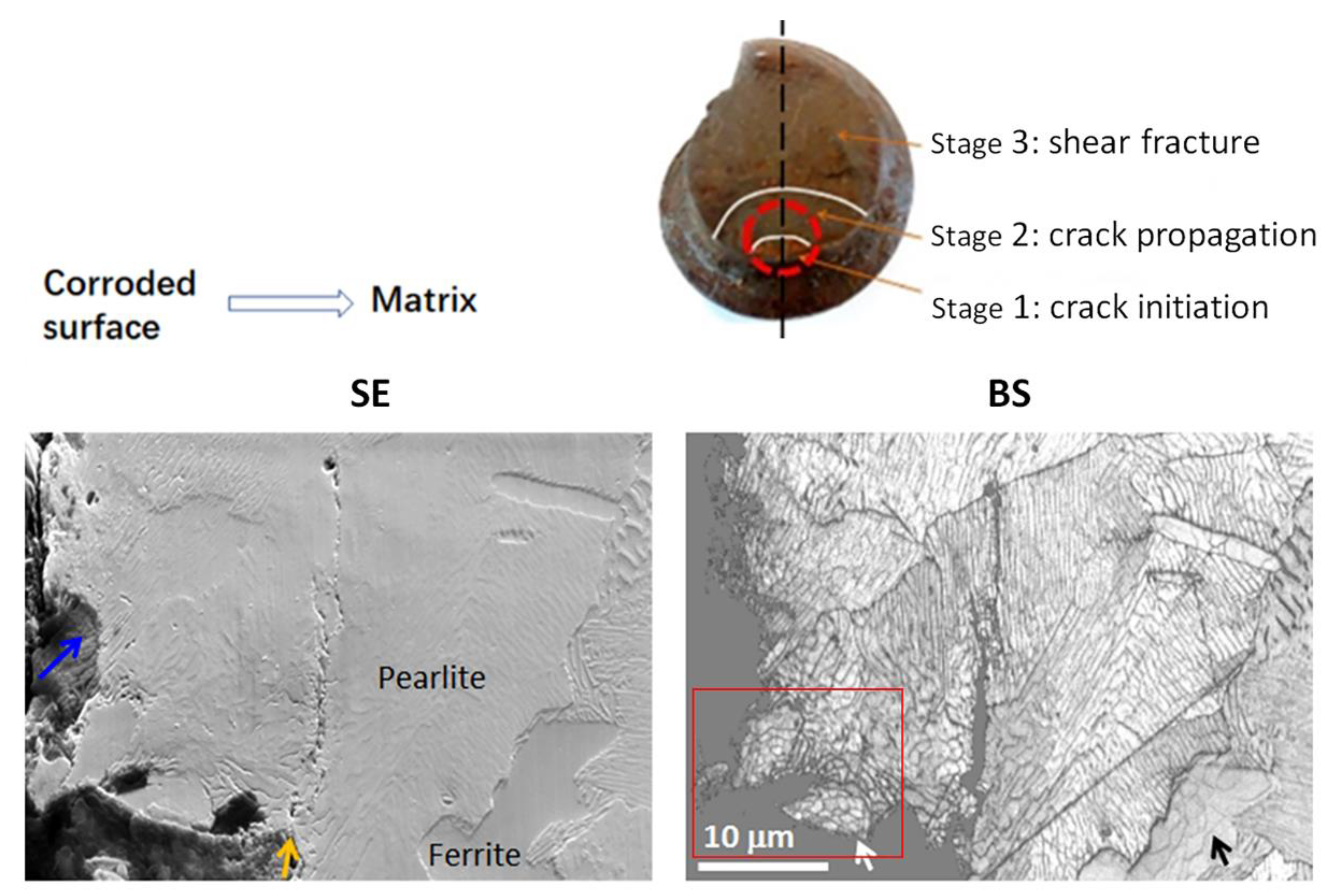 Crystals 13 00656 g002 Crystals 13 00656 g002