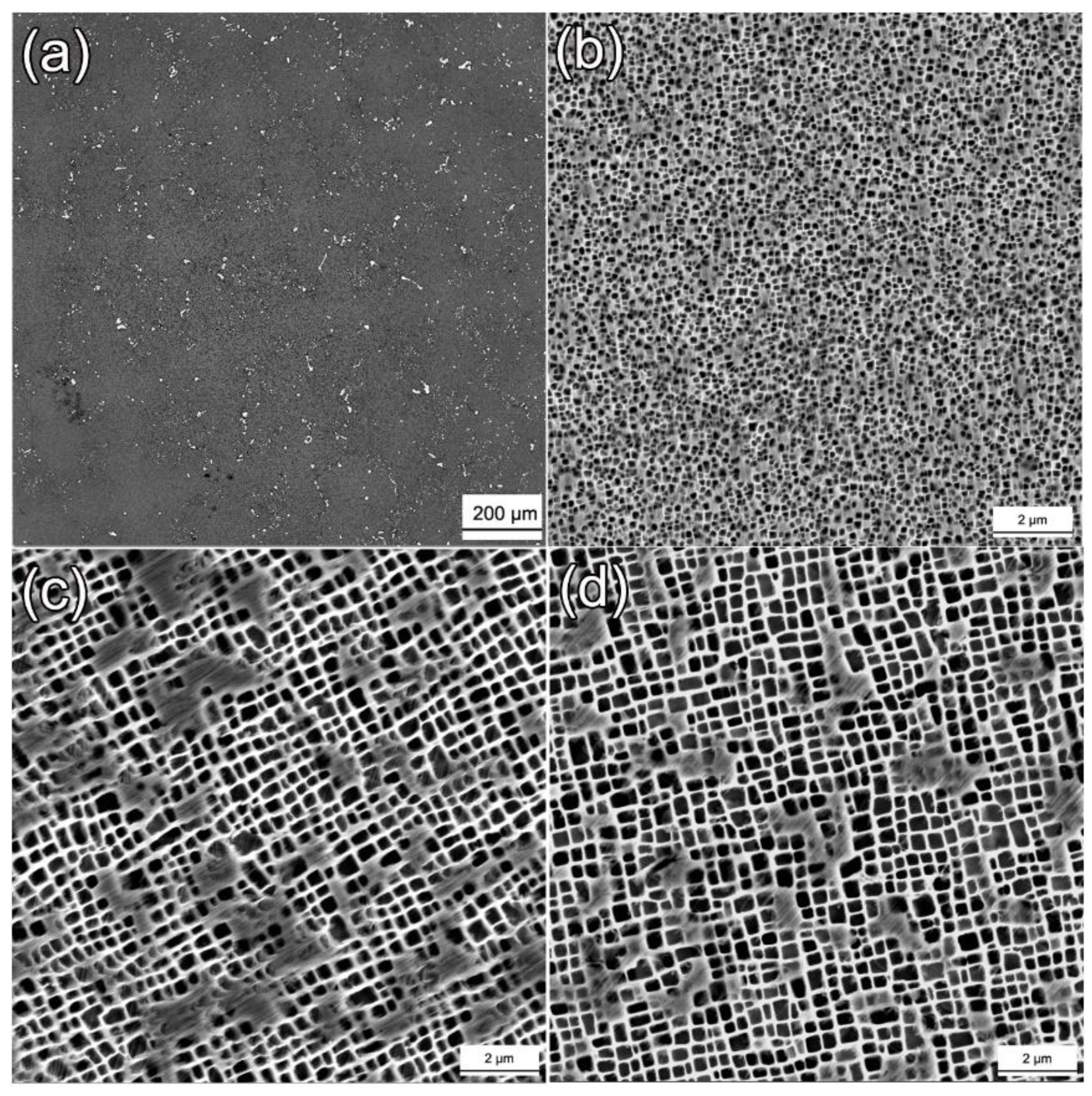 Crystals 13 00669 g004