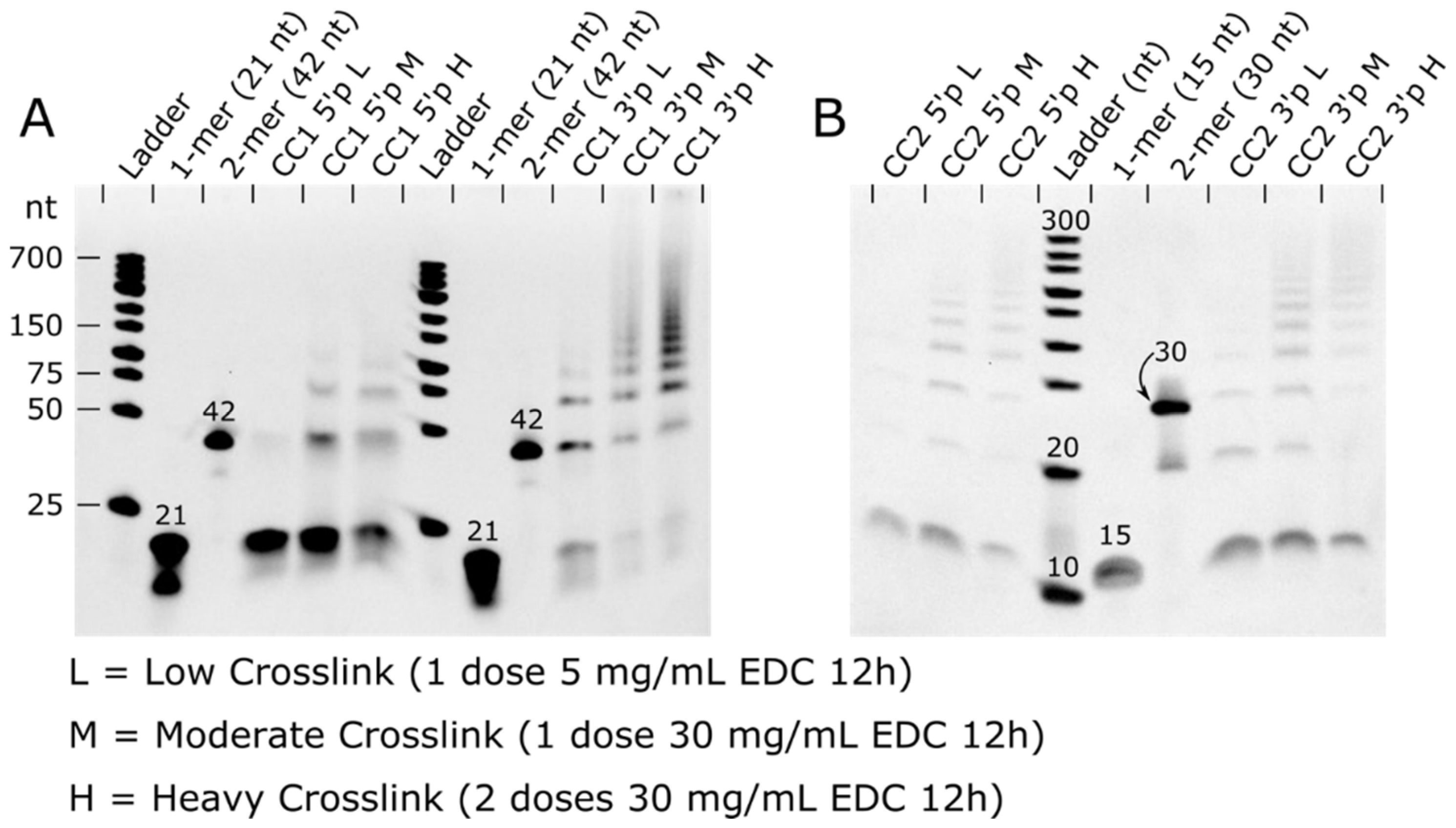 Crystals 13 00675 g004