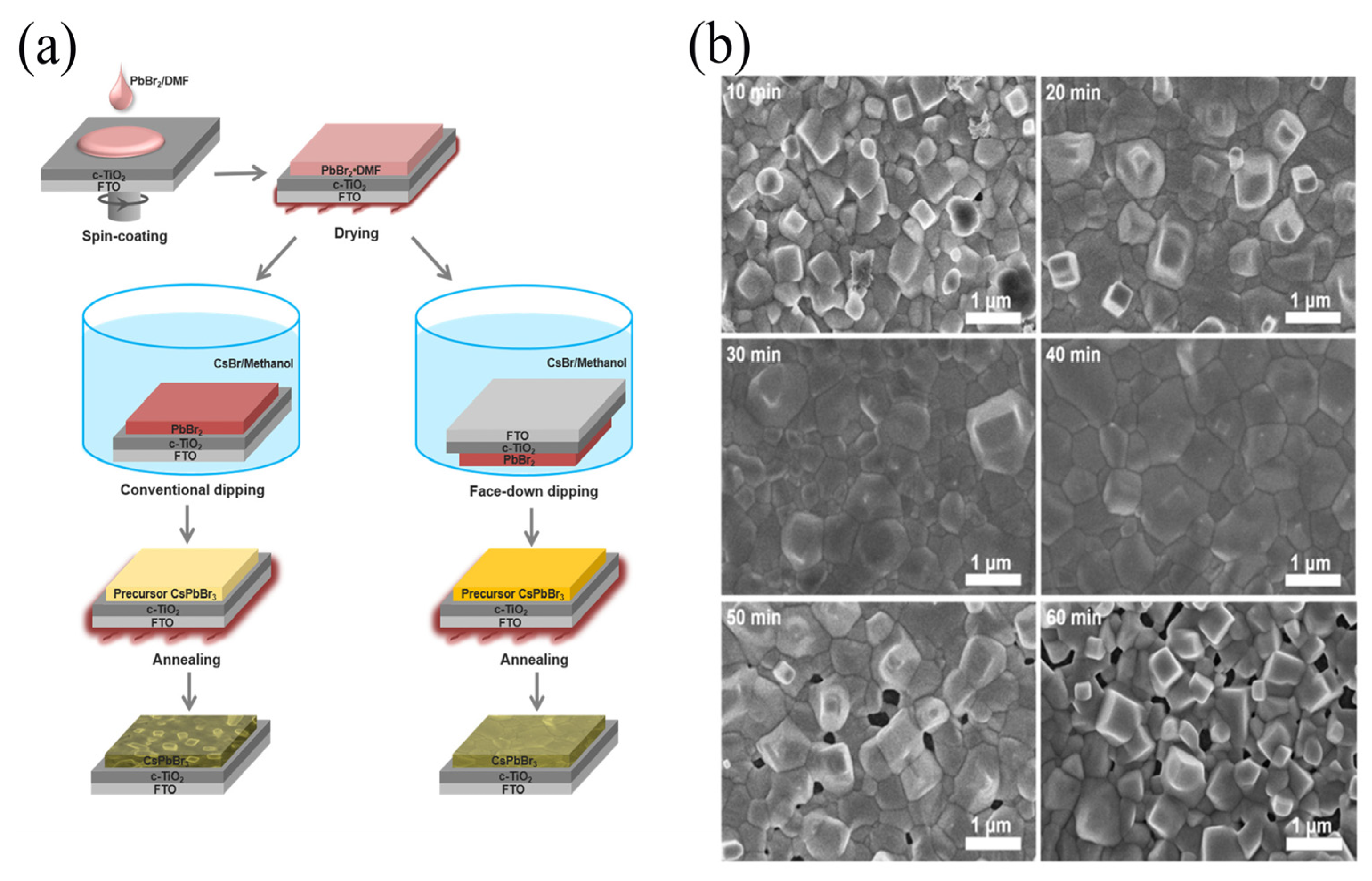 Crystals 13 00679 g002