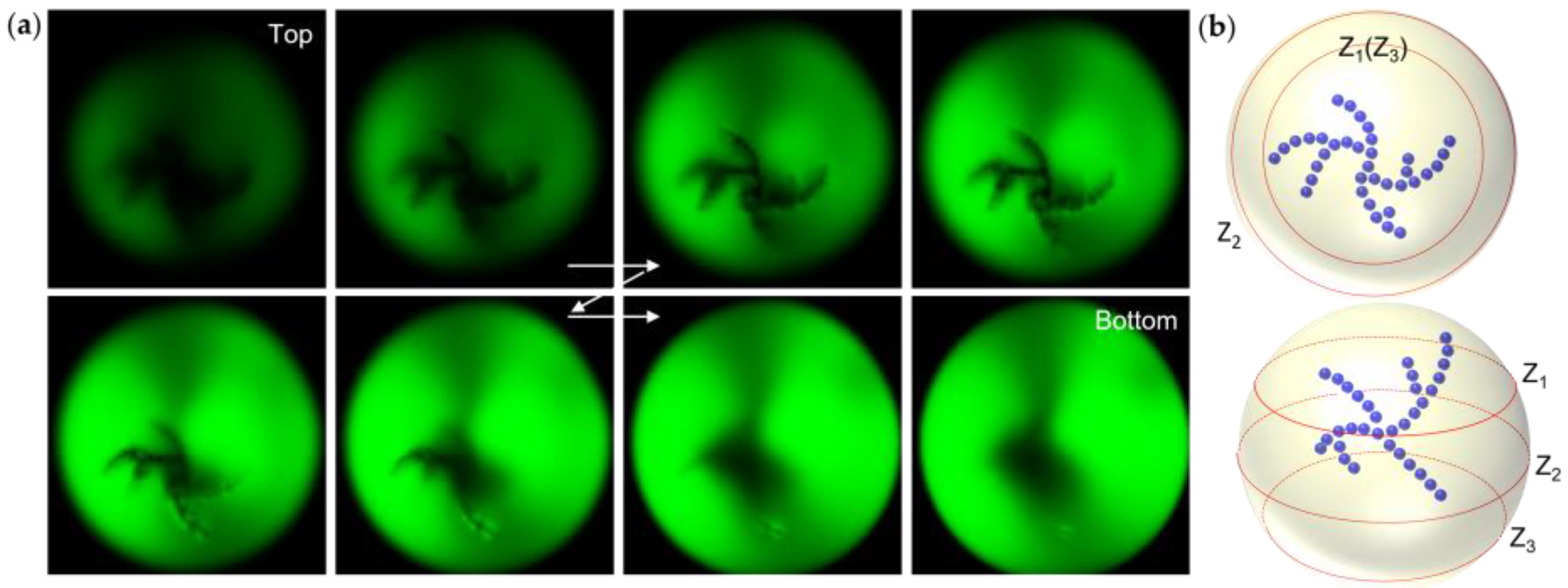 Crystals 13 00683 g003