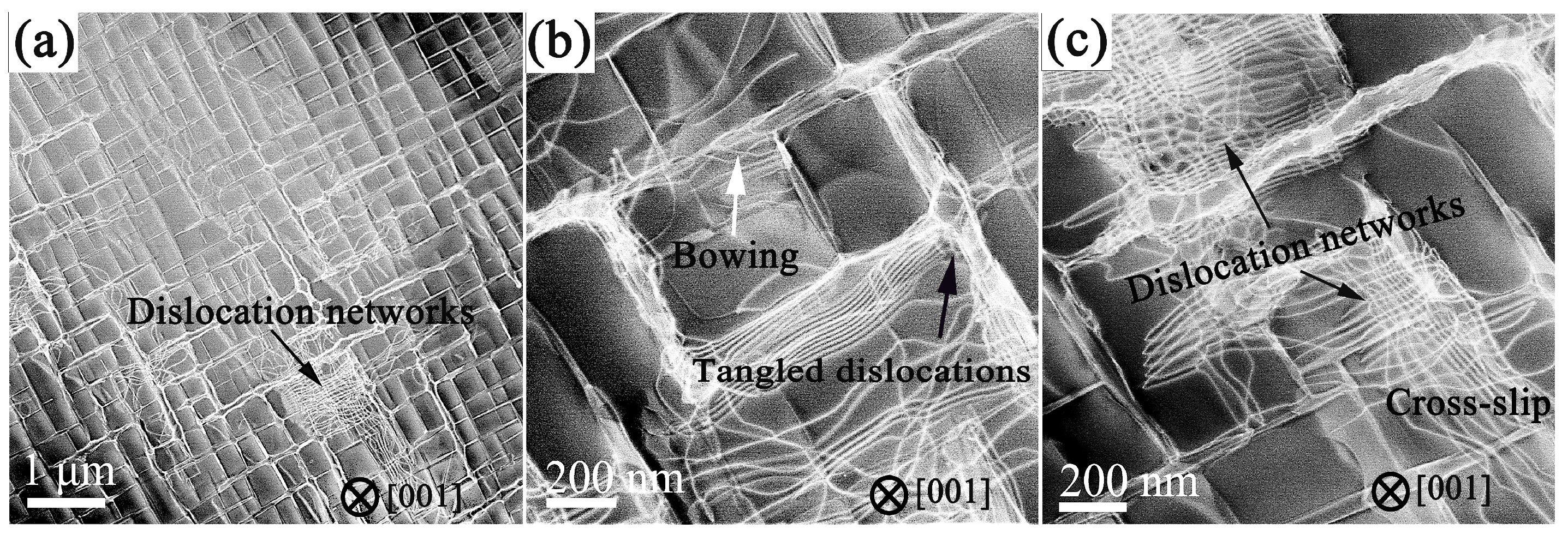 Crystals 13 00686 g006