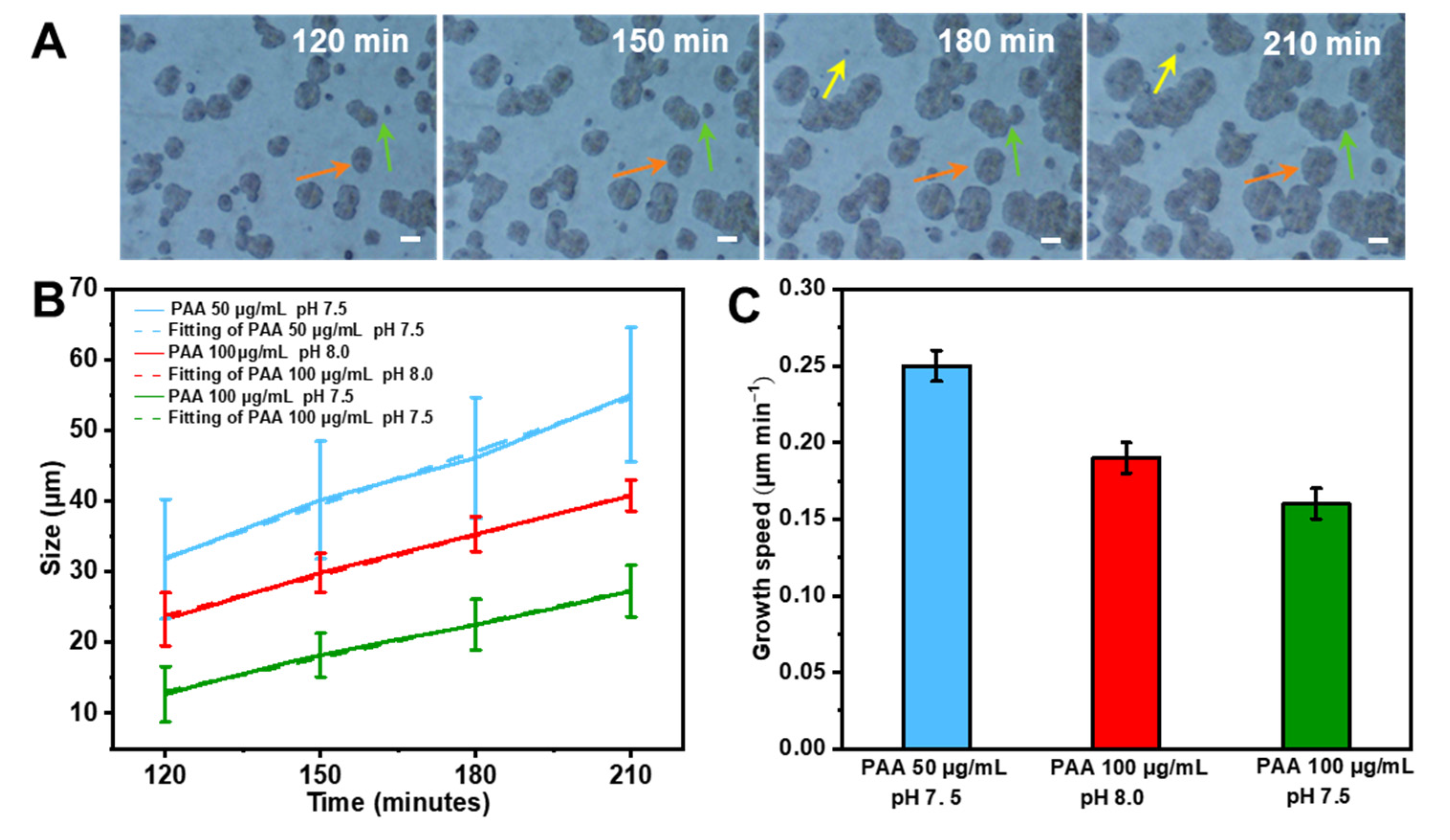 Crystals 13 00692 g006