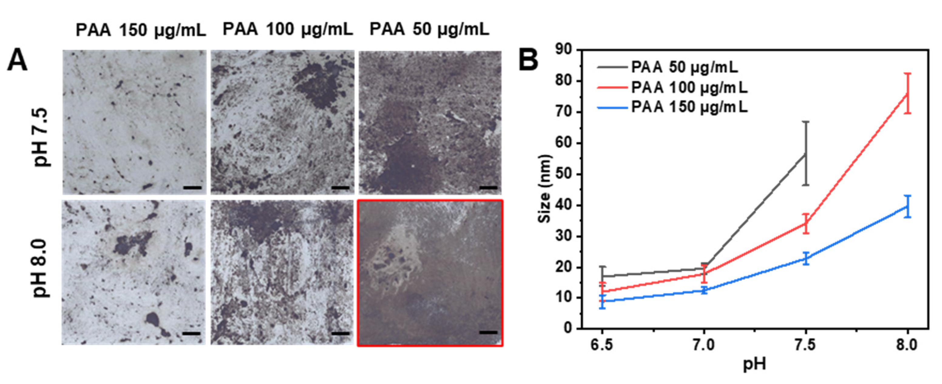 Crystals 13 00692 g007