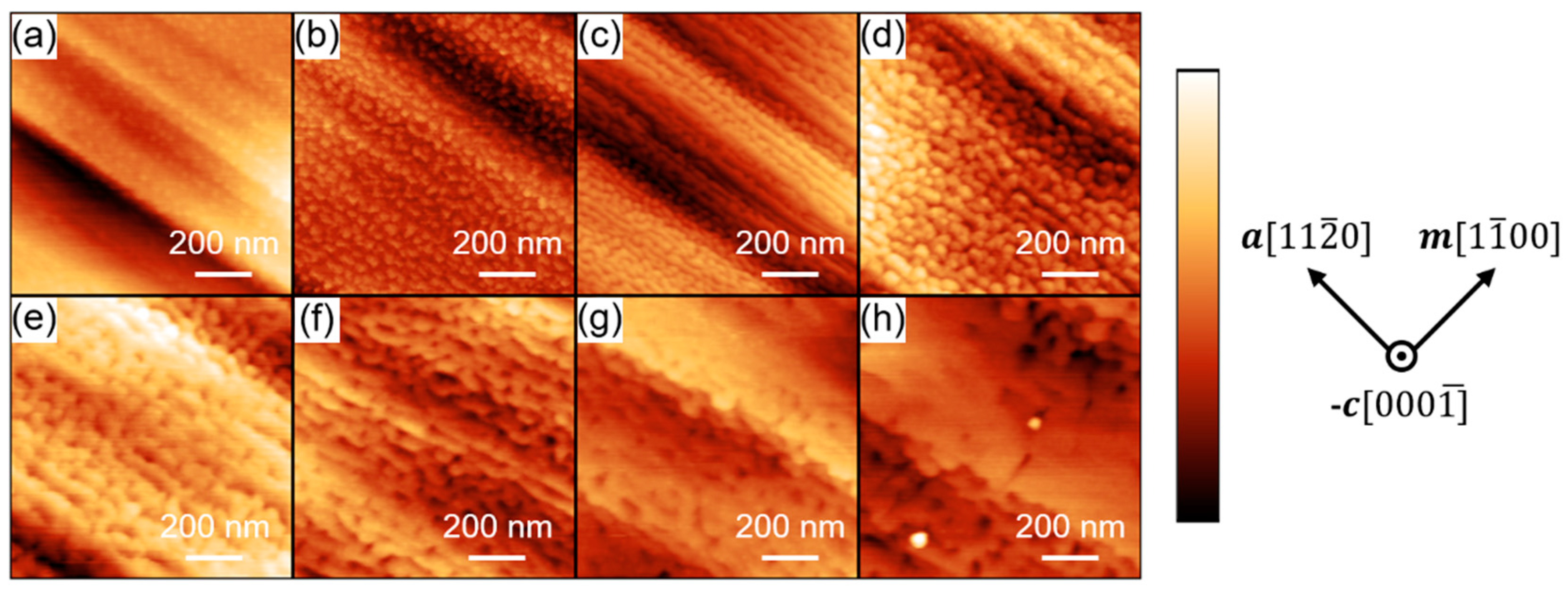 Crystals 13 00699 g004