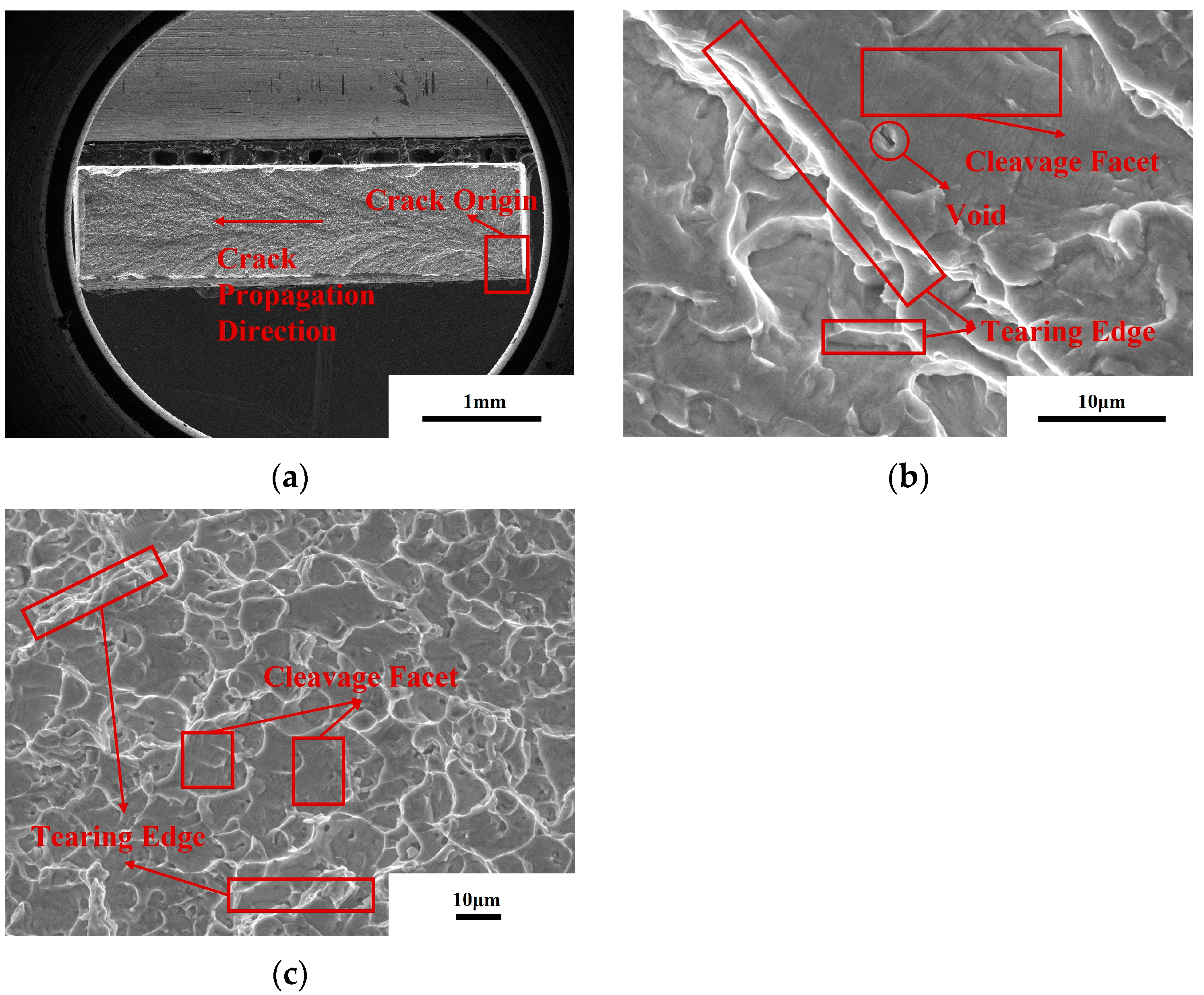 Crystals 13 00706 g010