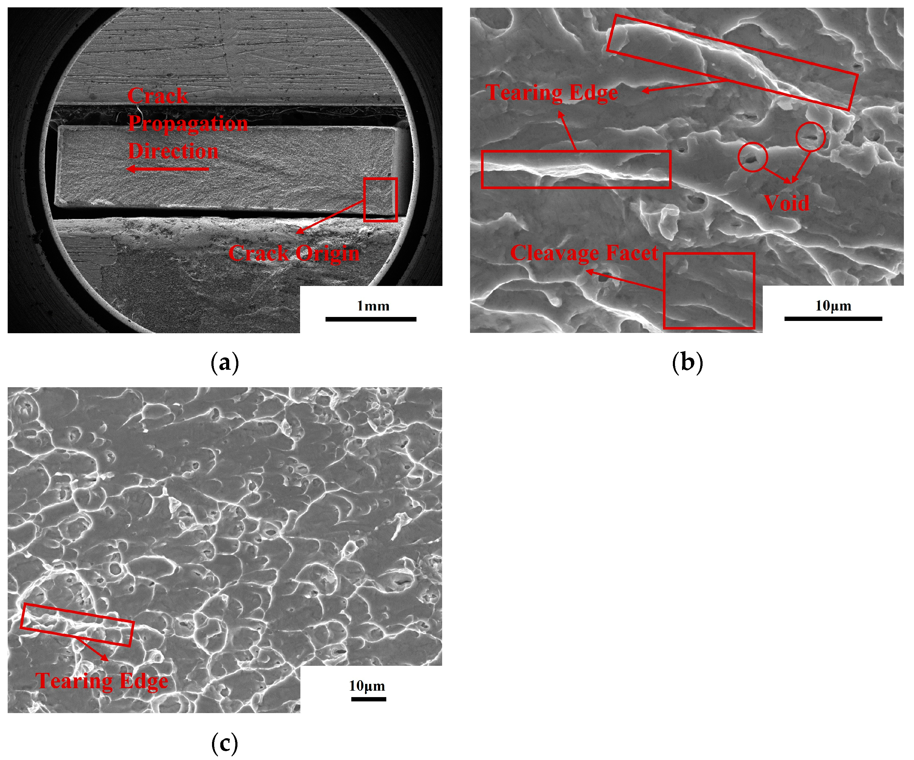Crystals 13 00706 g011